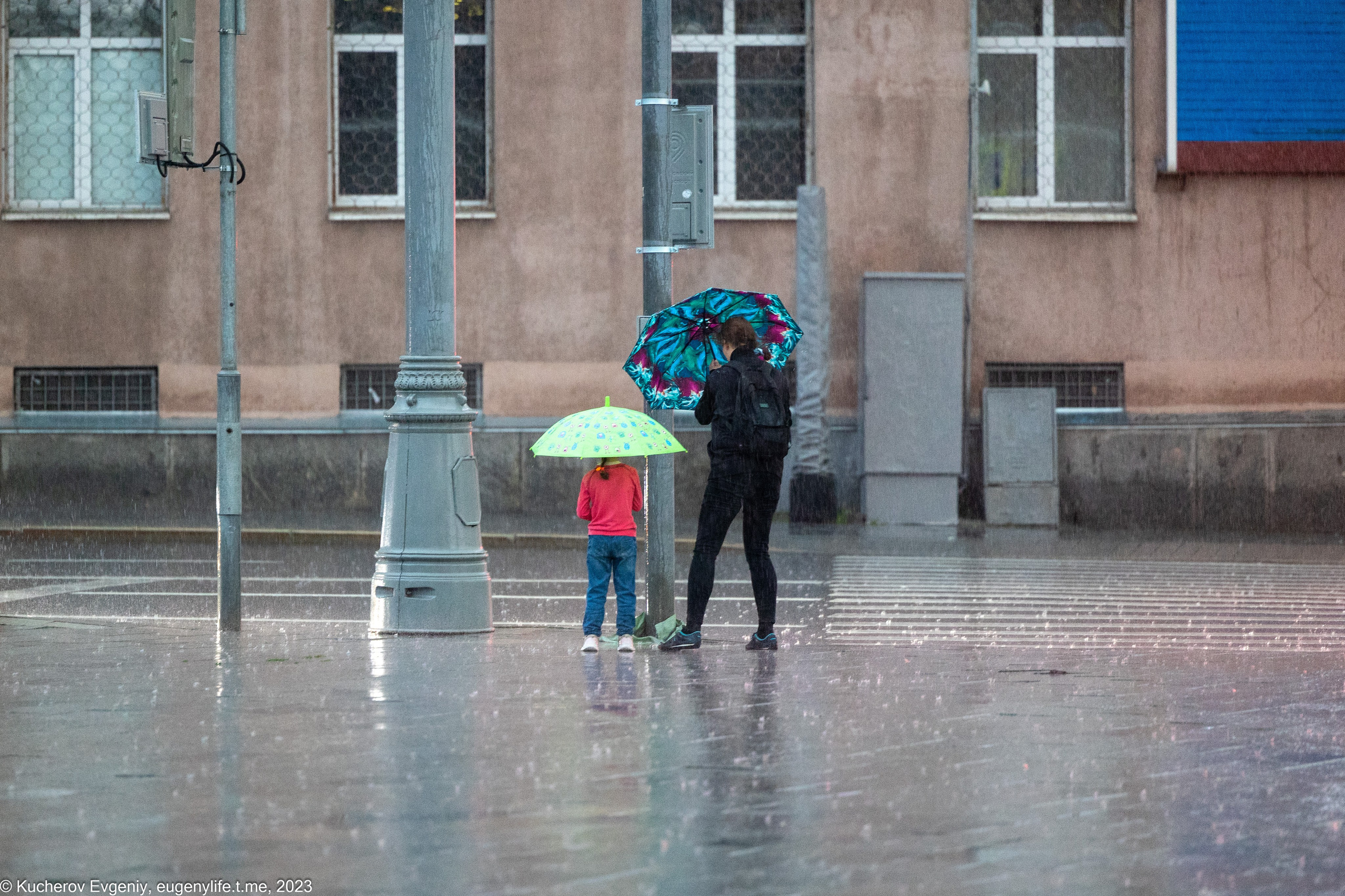 Светофоры и переходы. Кучеров Евгений. Фотограф