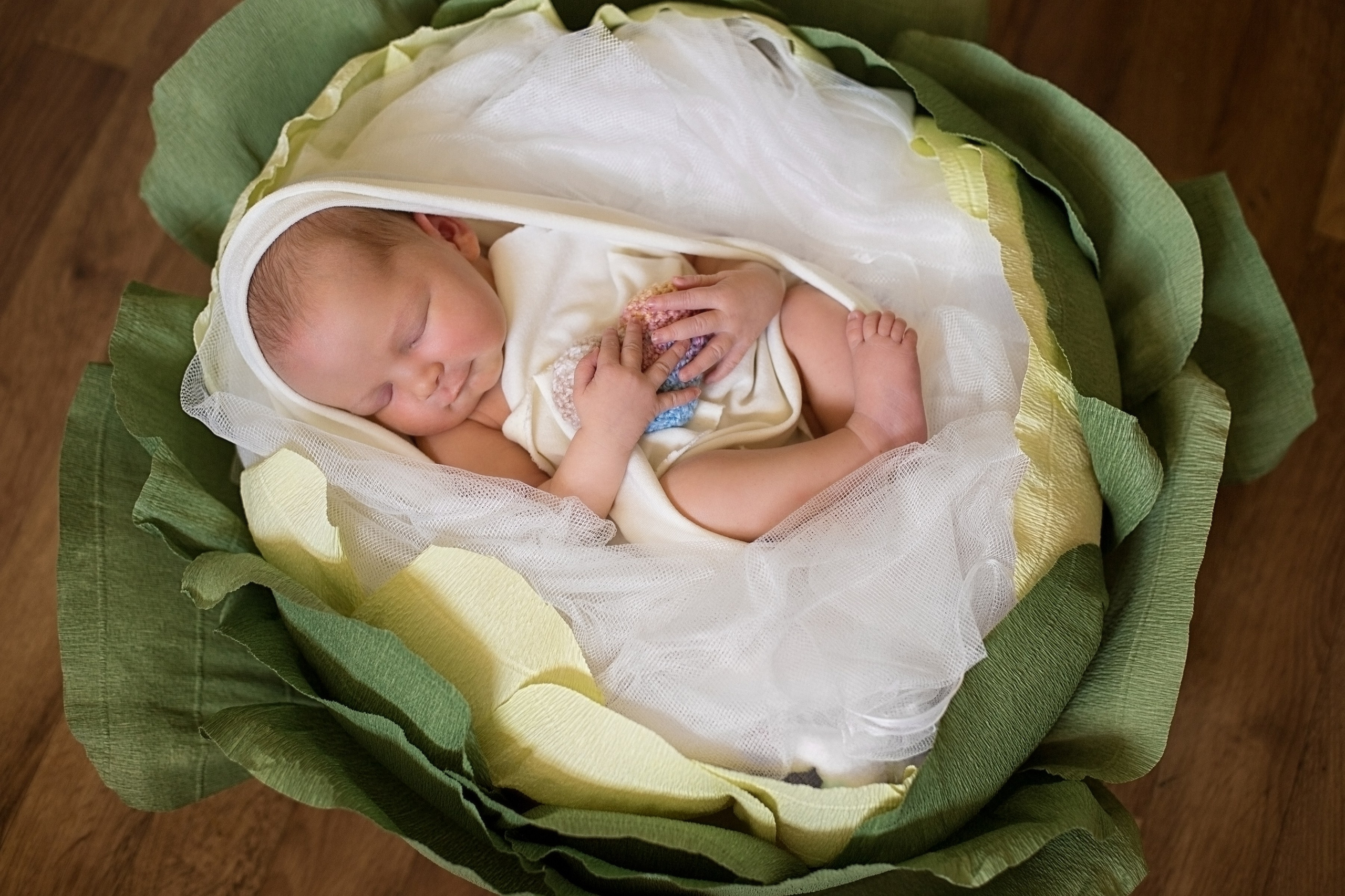 NEWBORN. Family Photographer Ksenia Kos