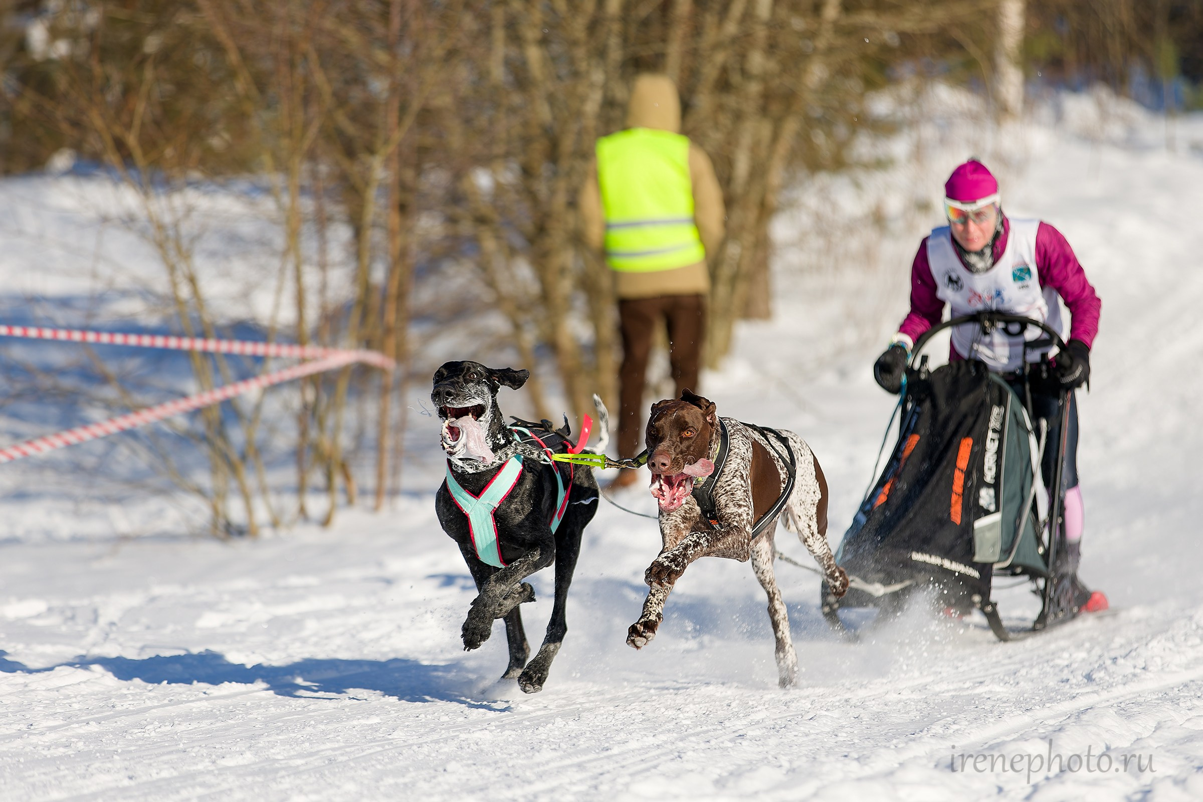 Чемпионат и Первенство Ленобласти — зима 2026. Irenephoto.ru