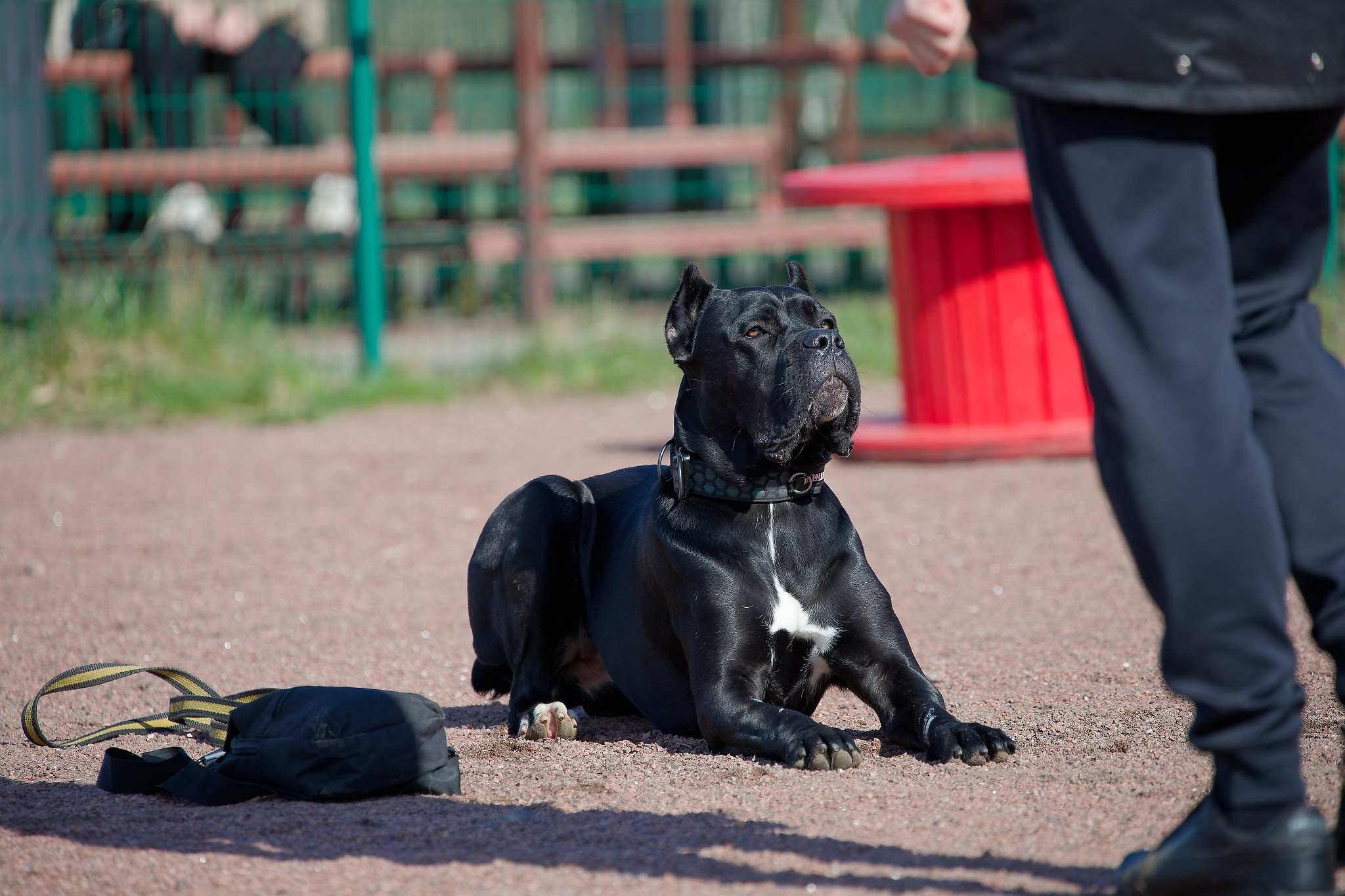 Турнир «Место». Irenephoto.ru