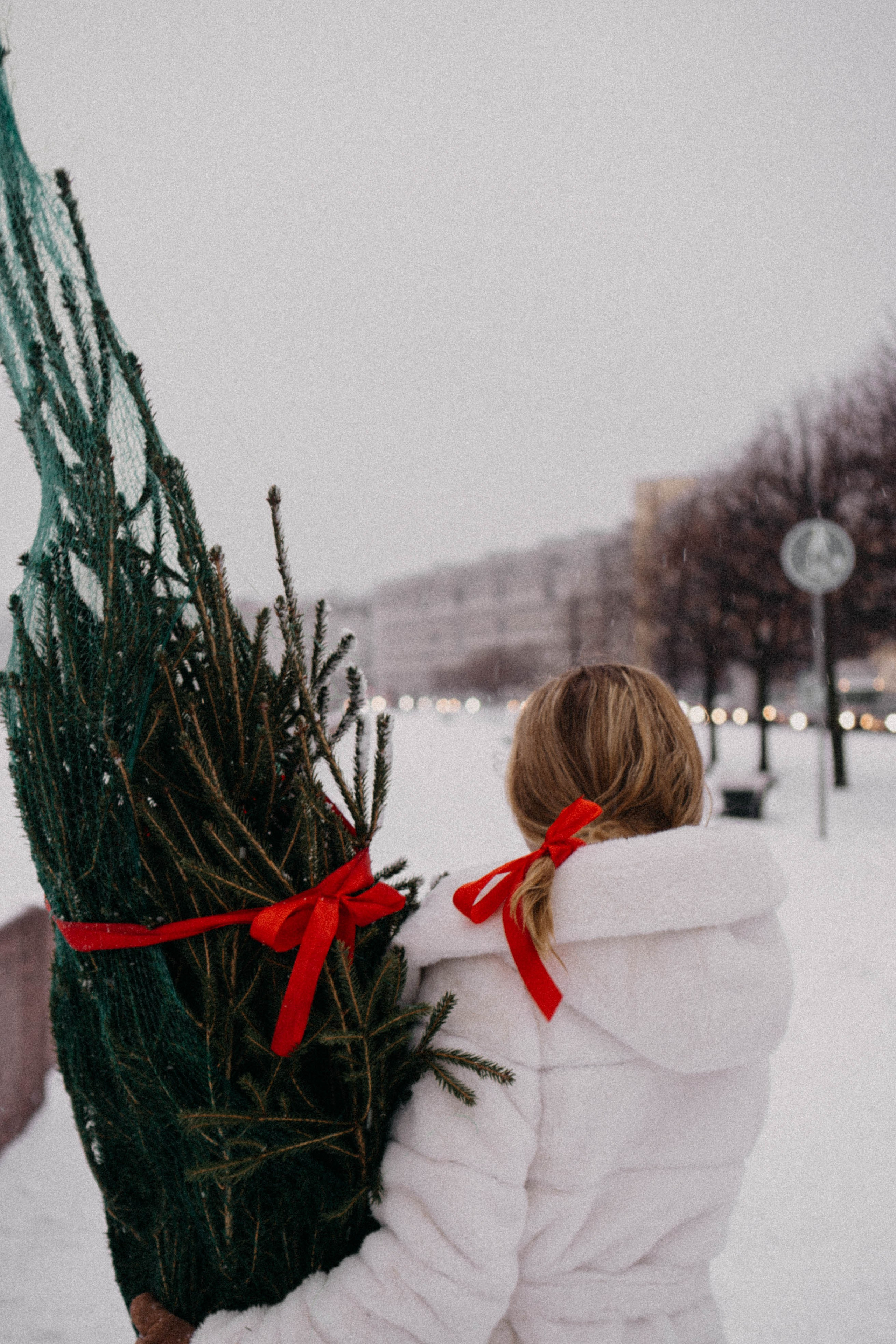 Новогодняя. Профессиональный фотограф, Санкт-Петербург — Виктория Богомолова