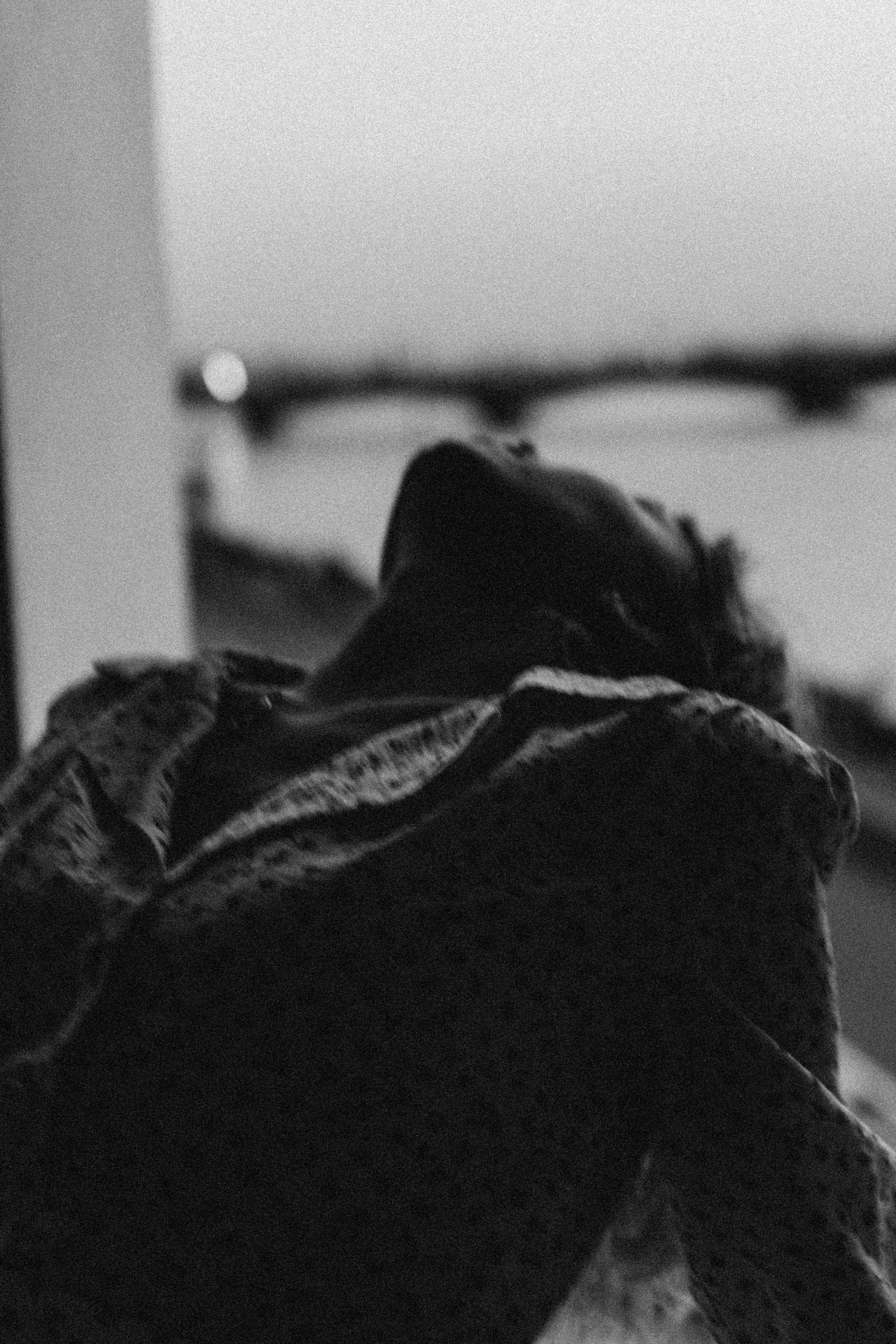 ЛЕТНИЙ ВЕЧЕР. Профессиональный фотограф, Санкт-Петербург — Виктория Богомолова