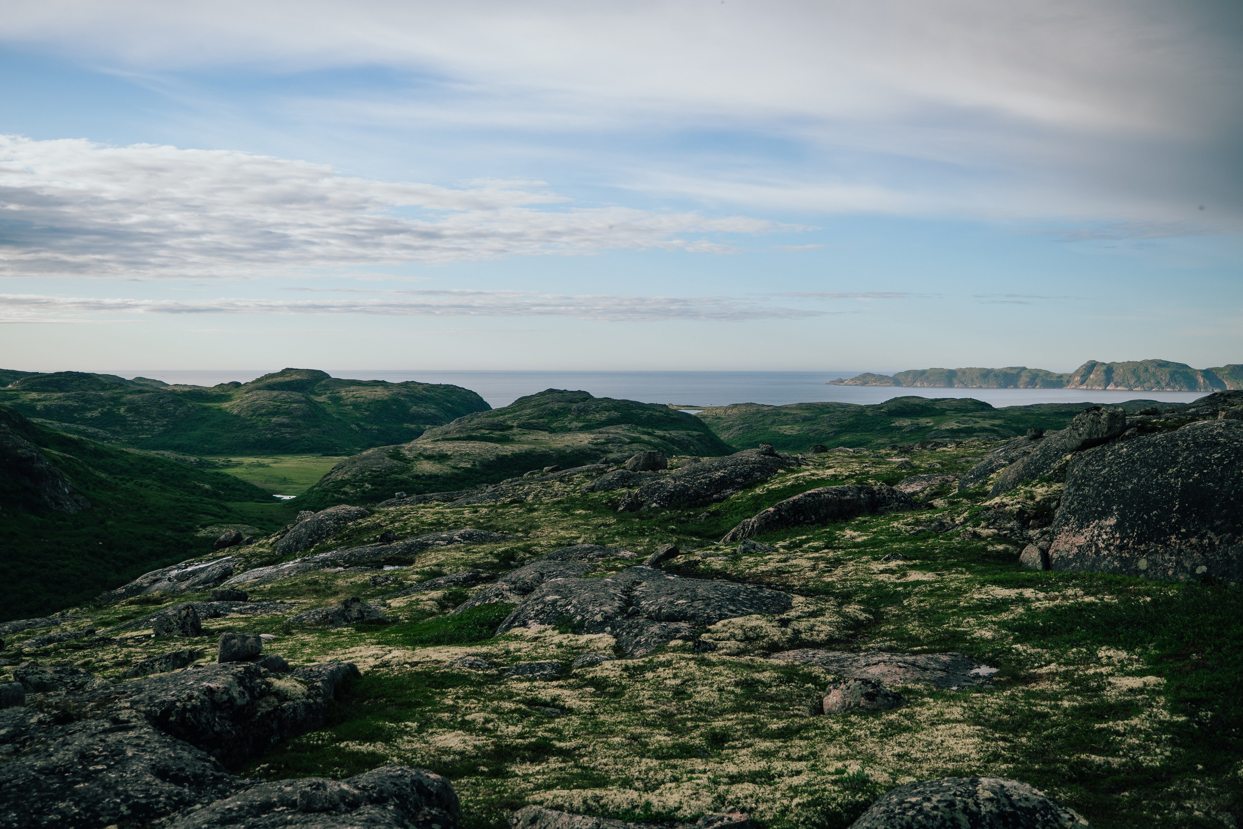 ТЕРИБЕРКА. Создание контента | Фото | Видеосъемка | Александр Ярков