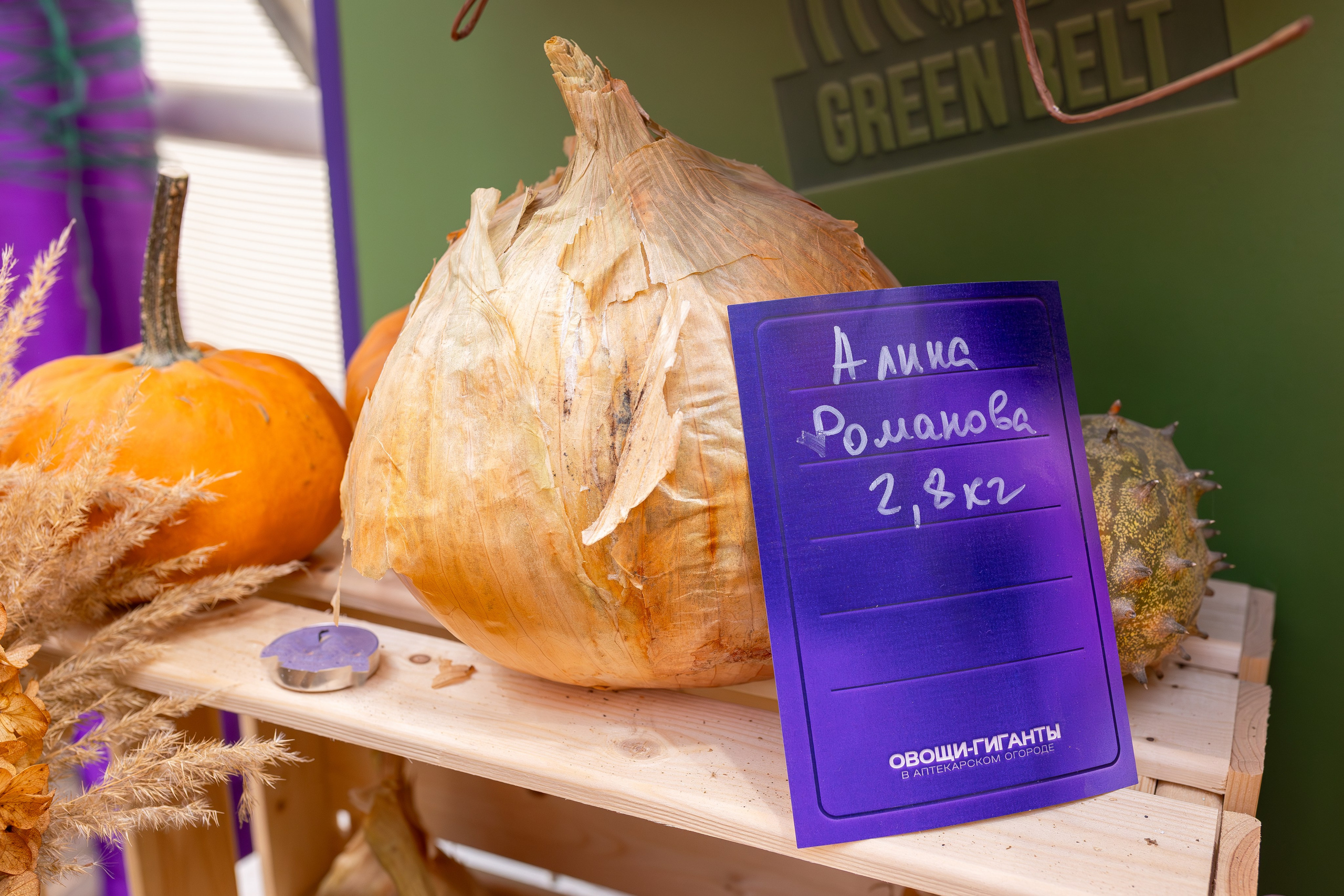 Овощи-гиганты. Александра Куликова фотограф, Москва