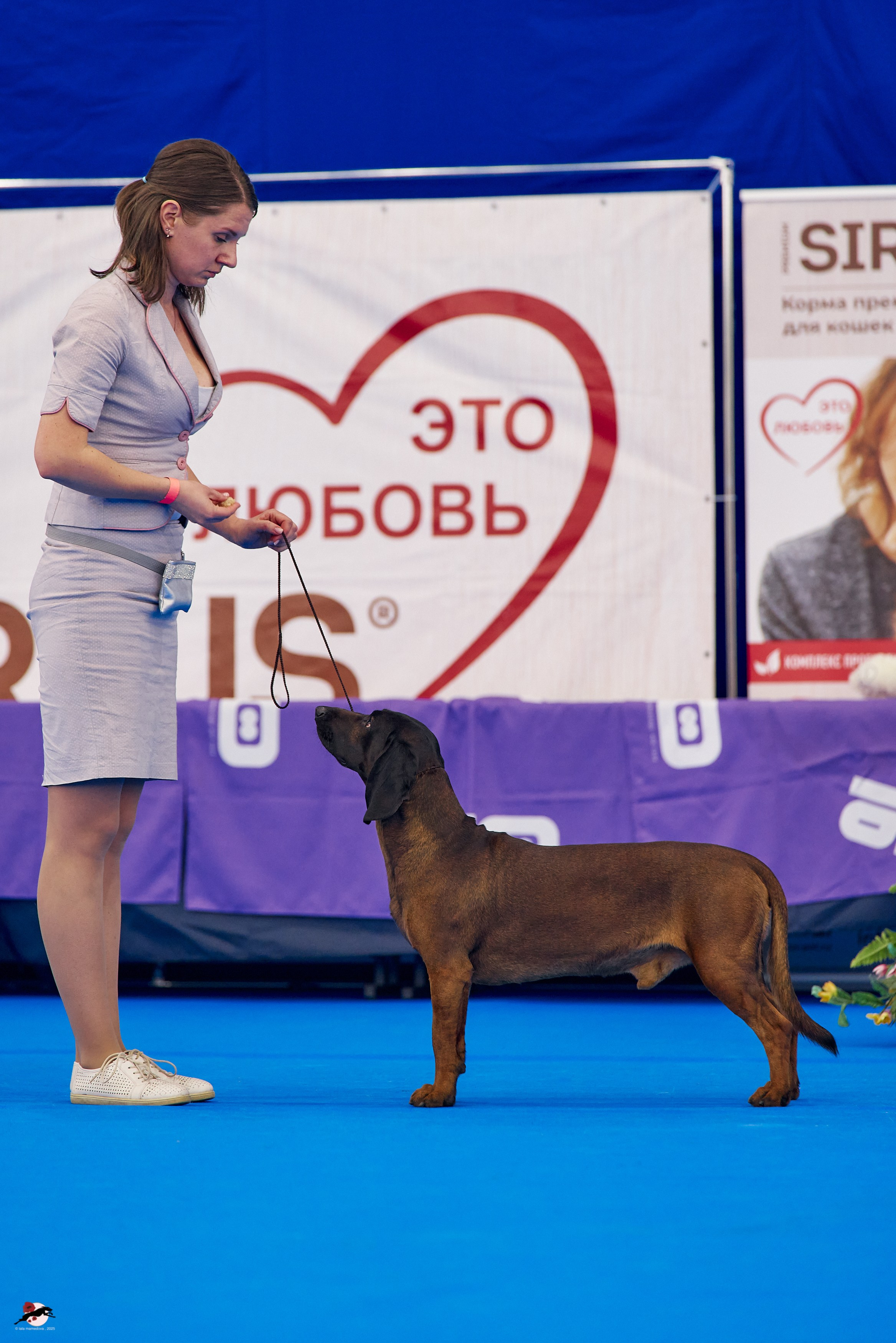 27.04.2025 | "Петербург-Элита 2025" & «КУБОК «ЭЛИТЫ»-2025»