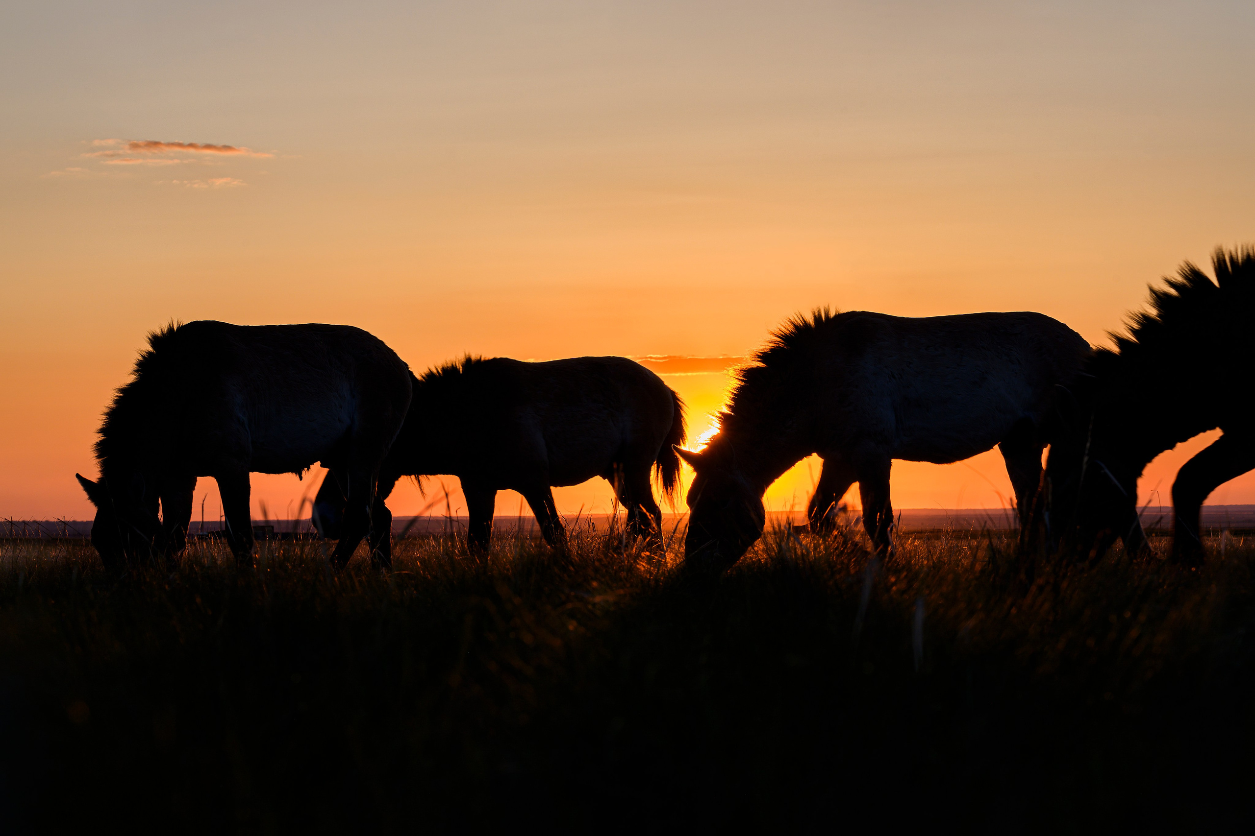 Оренбуржье. Портретный фотограф в Челябинске Катерина Руди