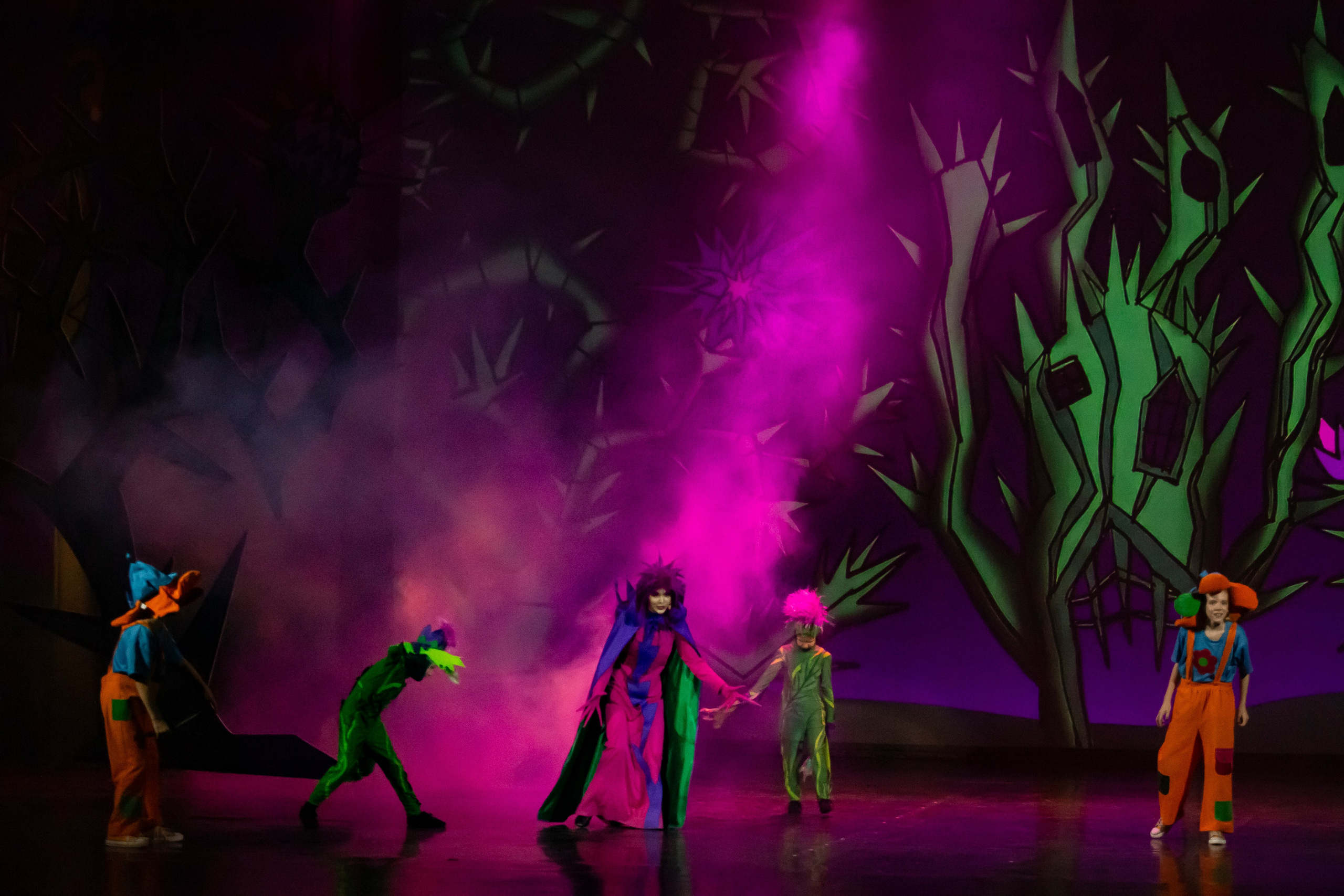 Мюзикл «Незнайка в царстве малюток» премьера Сочи солнышки и Сочи Соло. Фотограф в Сочи Юрий Шептаев