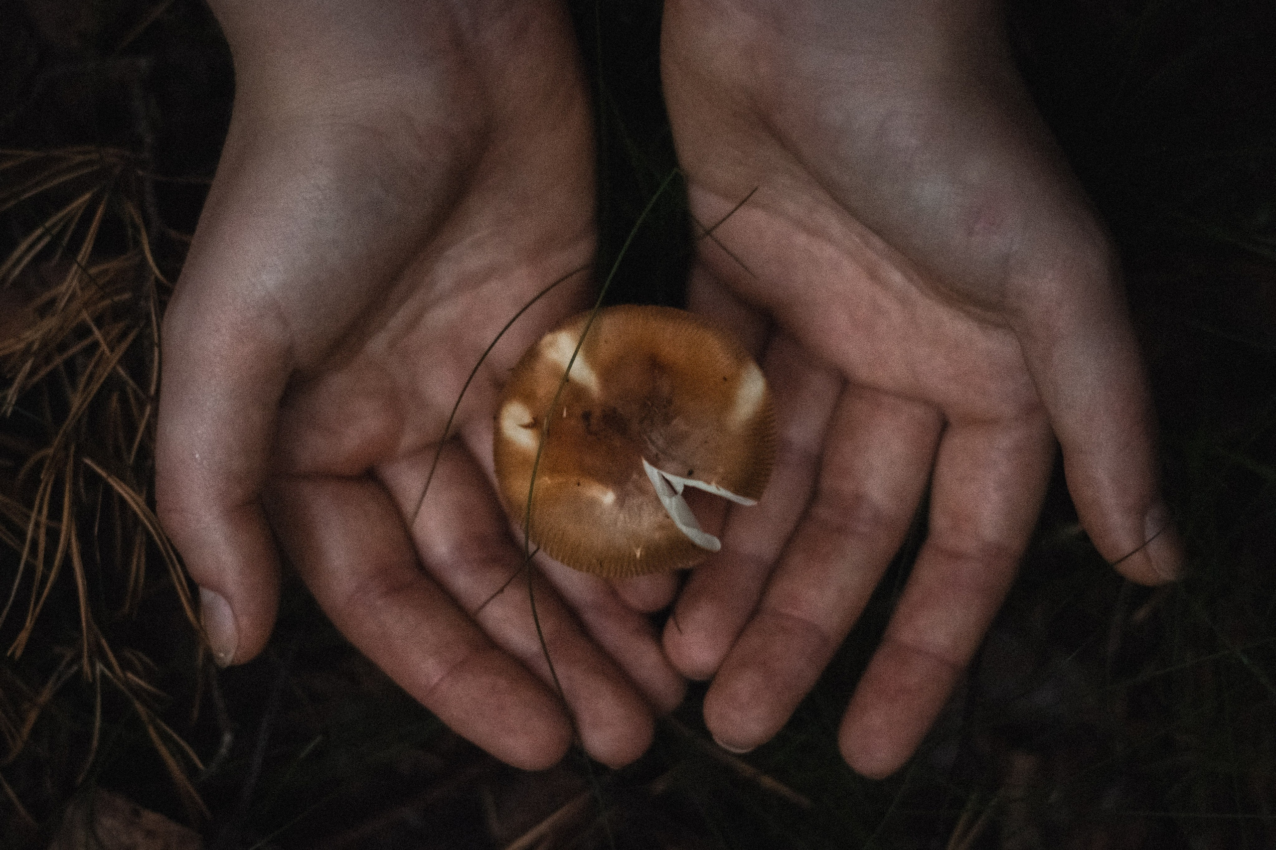 Вика. Репортажный фотограф в Санкт-Петербурге Диана Ларченкова