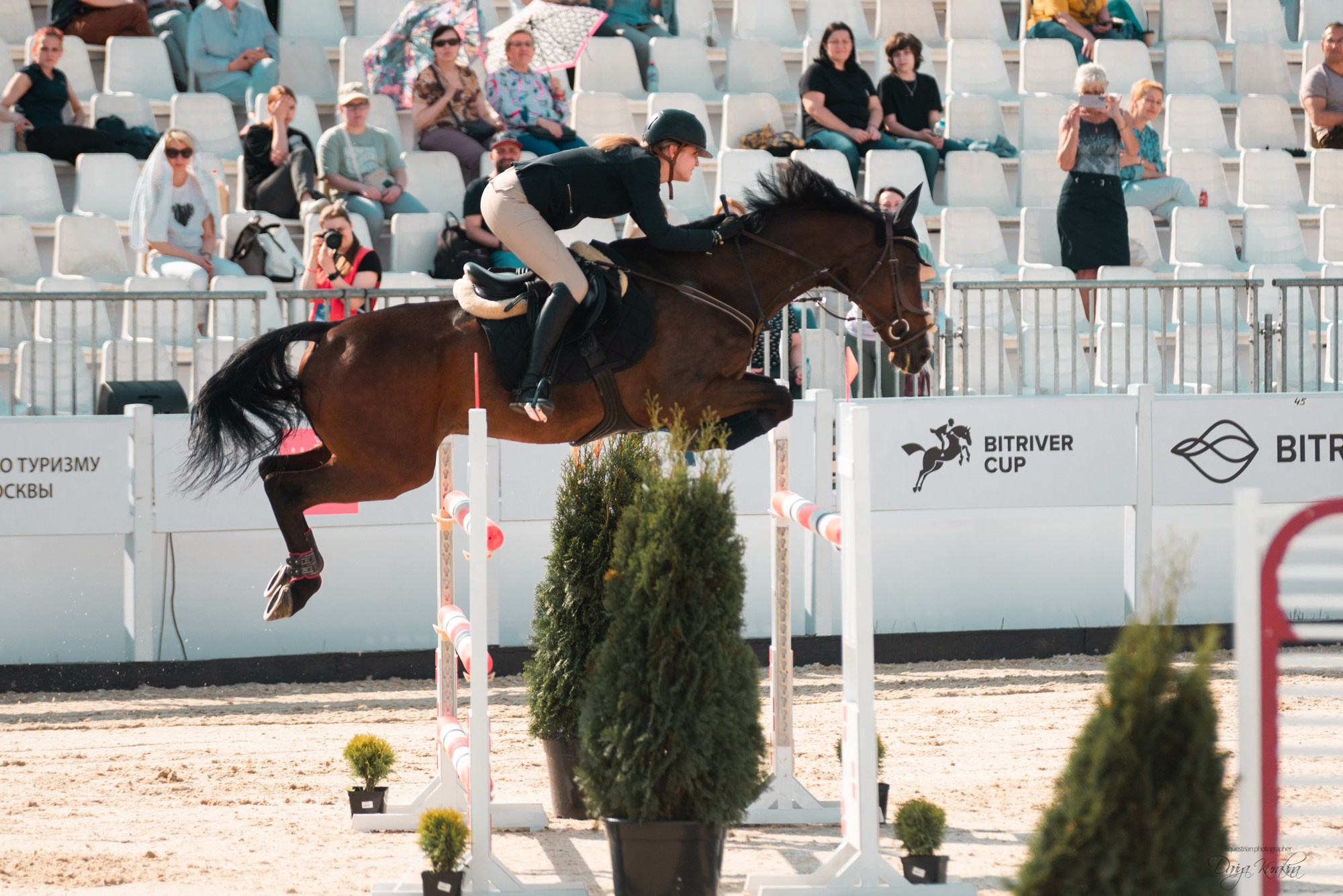 BITRIVER CUP 2023. Конный фотограф Куракина Дарья • Фотосессии с лошадьми