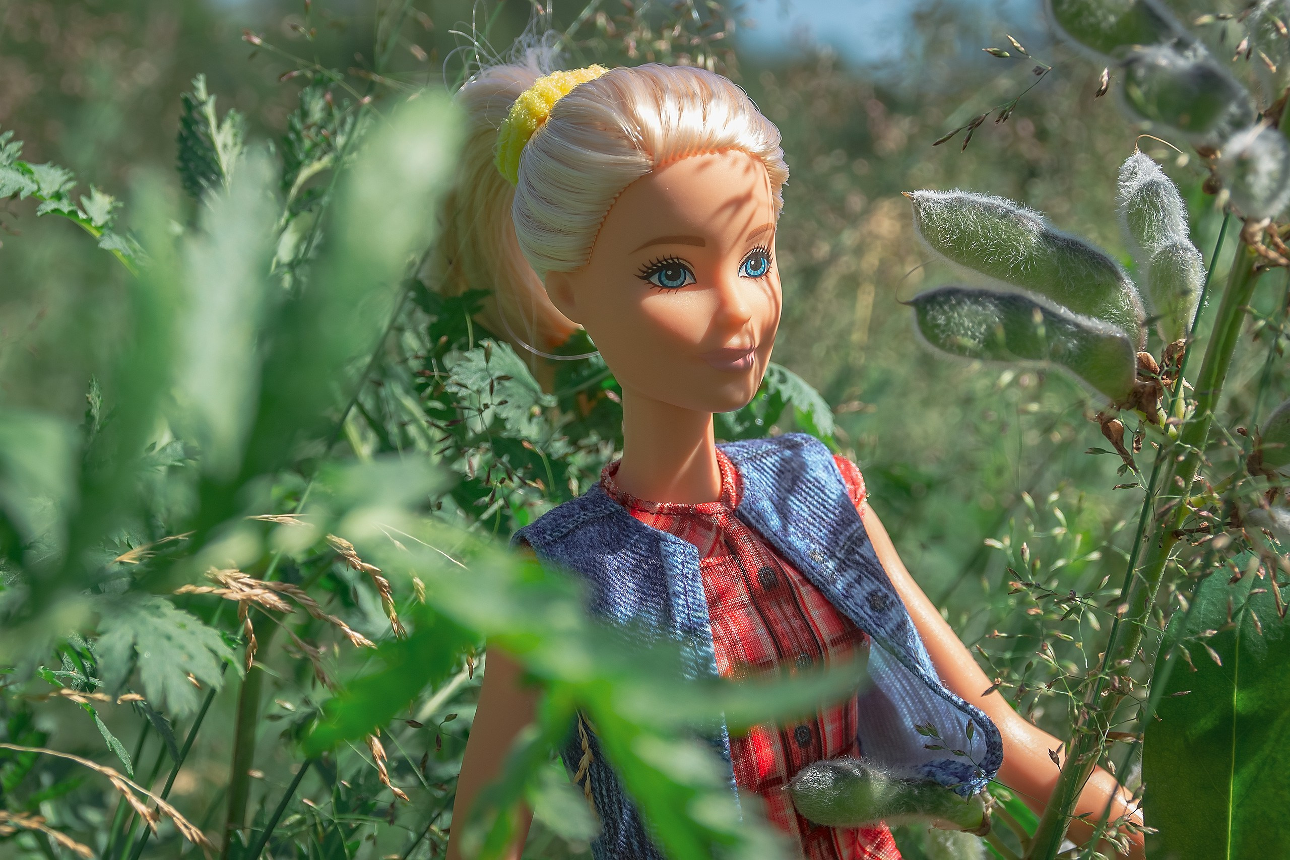 Сказка — Быль. Аmat Victoria Сuram