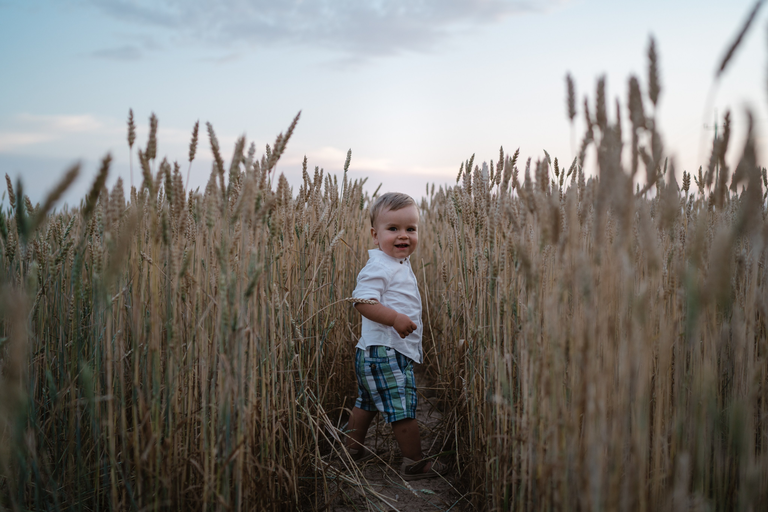 Вечер в колосках. Семейный и детский фотограф Москва Дарья Бугра