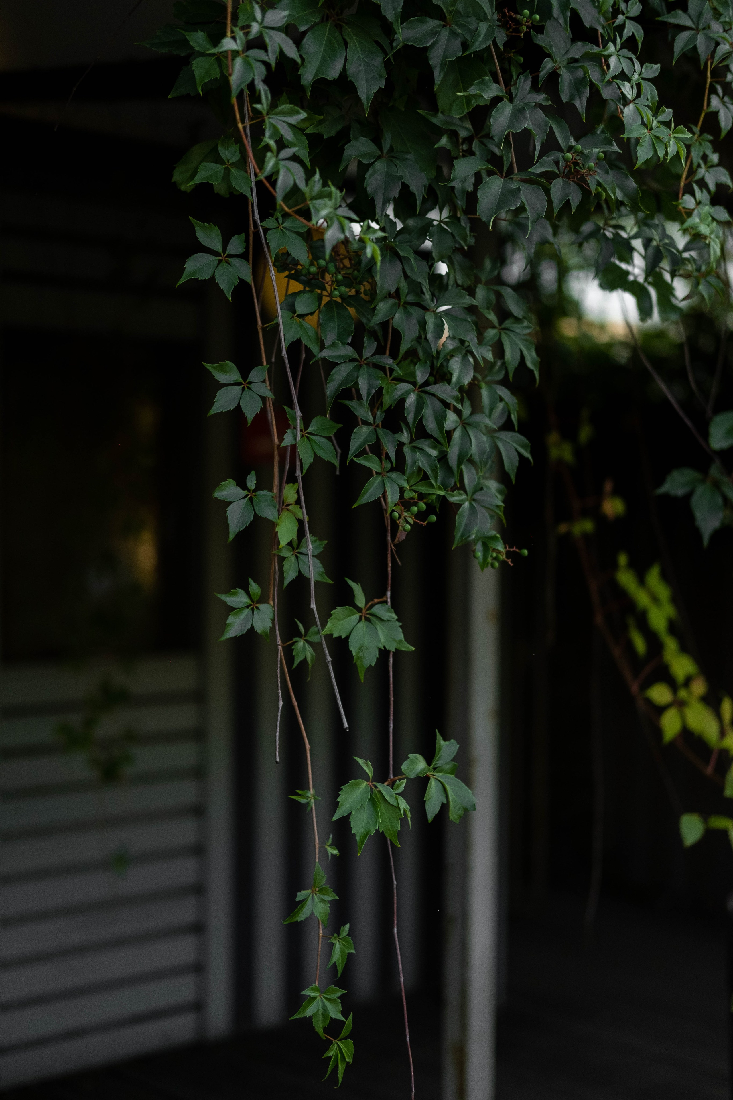 Москва 2024. Свадебный и семейный фотограф в Новосибирске, Санкт-Петербурге, Москве