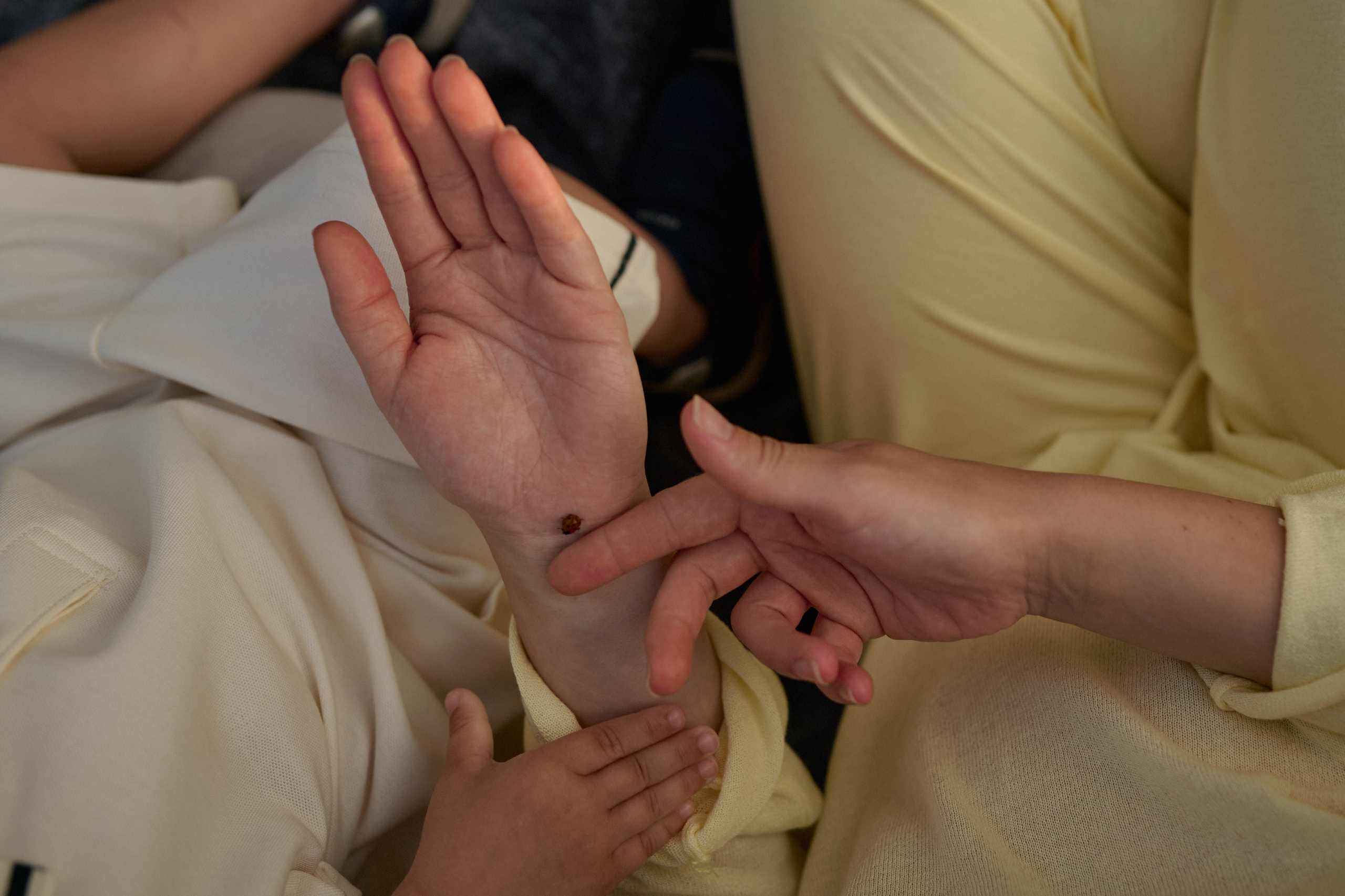 Рома, Оля, Максим и ромашки. Семейный и свадебный lifestyle-фотограф в Москве Мария Петрова