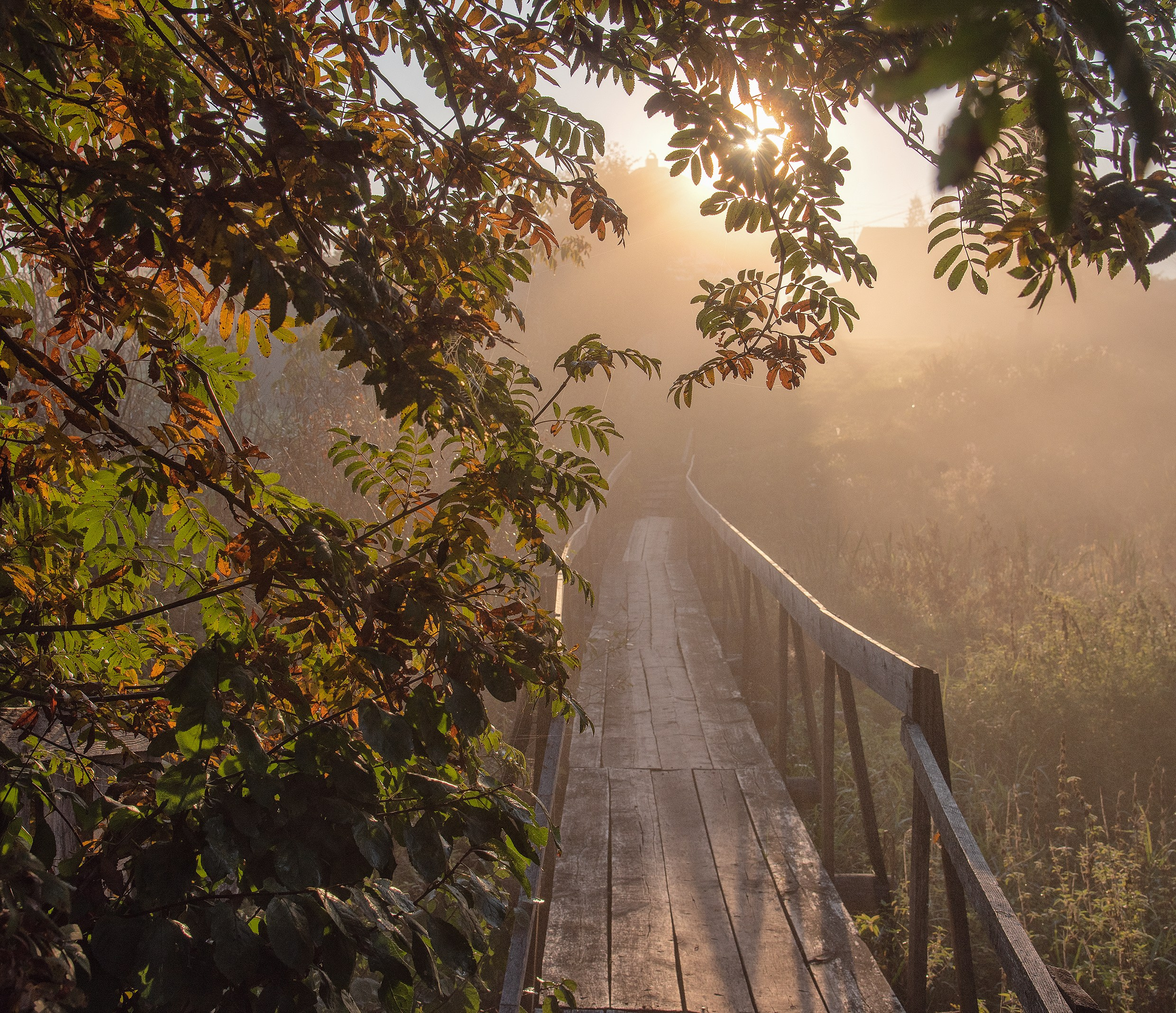Вятка 18.06.26 — 21.06.26. Дмитрий Купрацевич профессиональный пейзажный и travel-фотограф