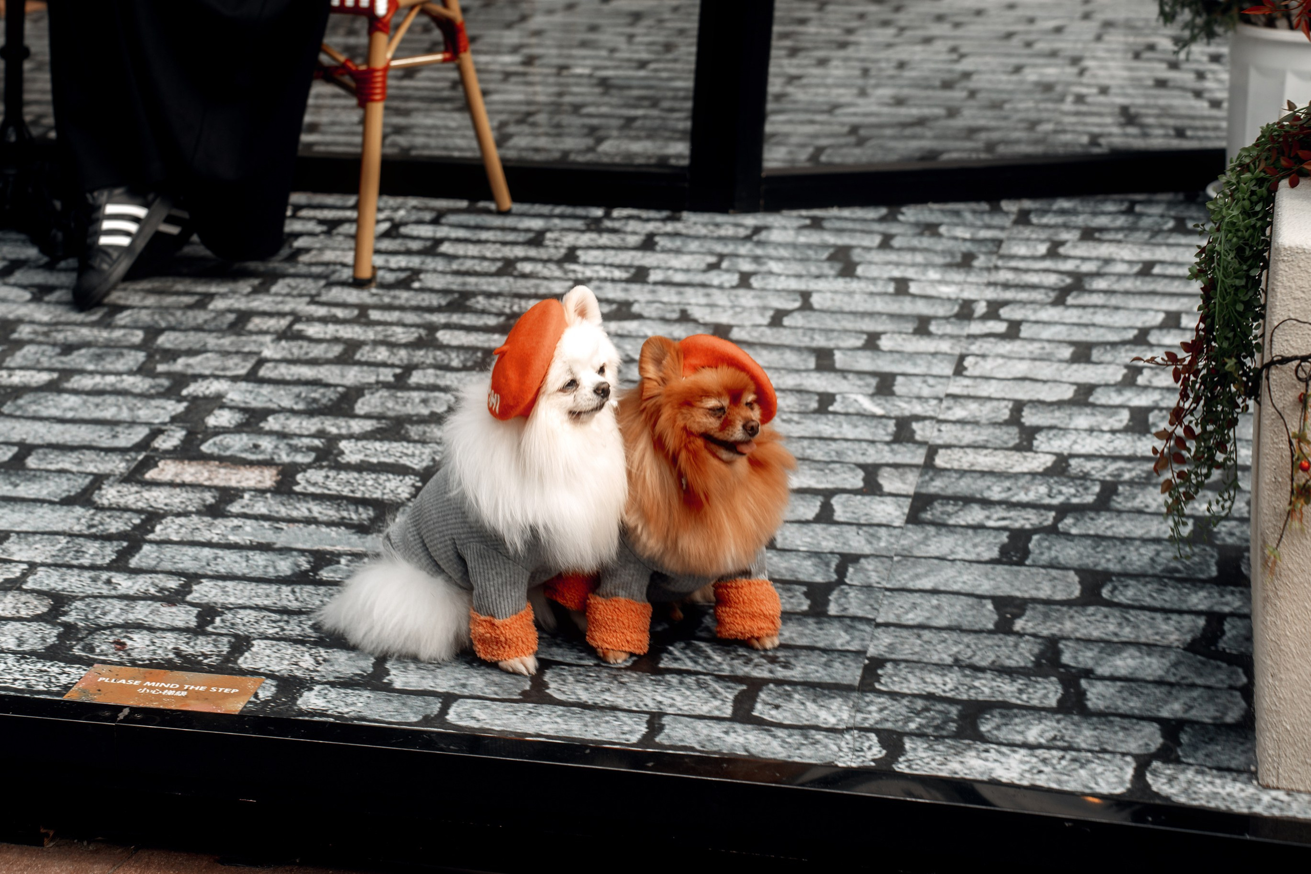 Ktokuda. Фотограф в Хабаровске. Фотография за 24 часа