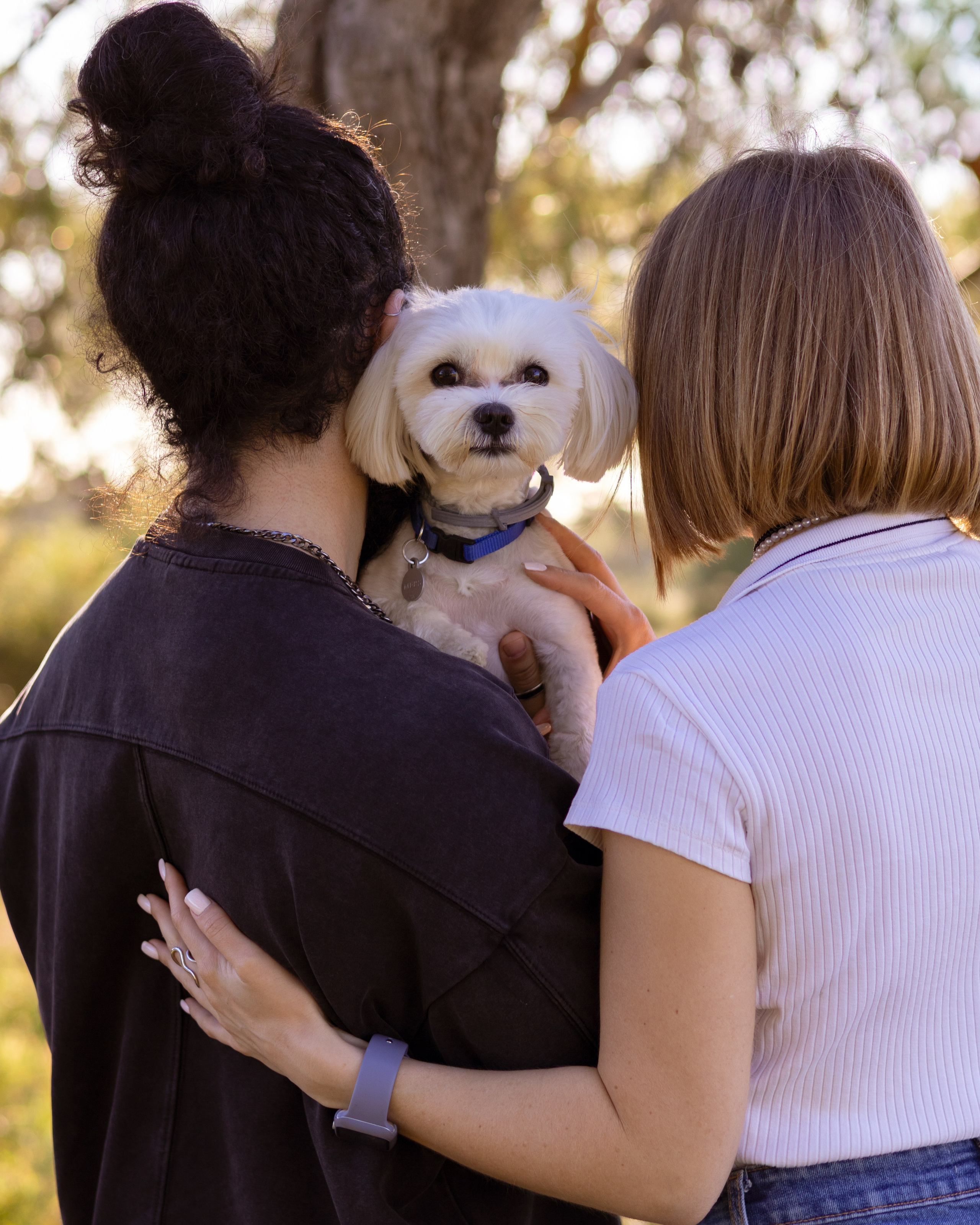 Съемки с питомцами. Фотограф на Кипре Дария Николаева