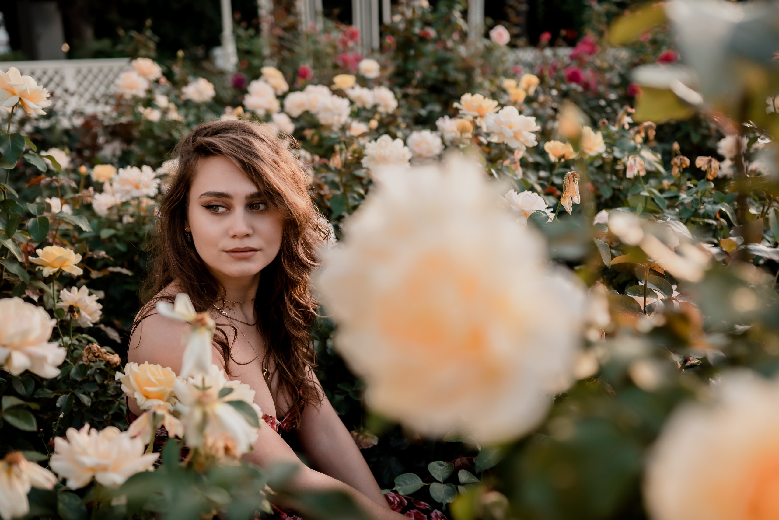 Последние дни лета. Фотограф Дарья Сафонова Dashulkacss