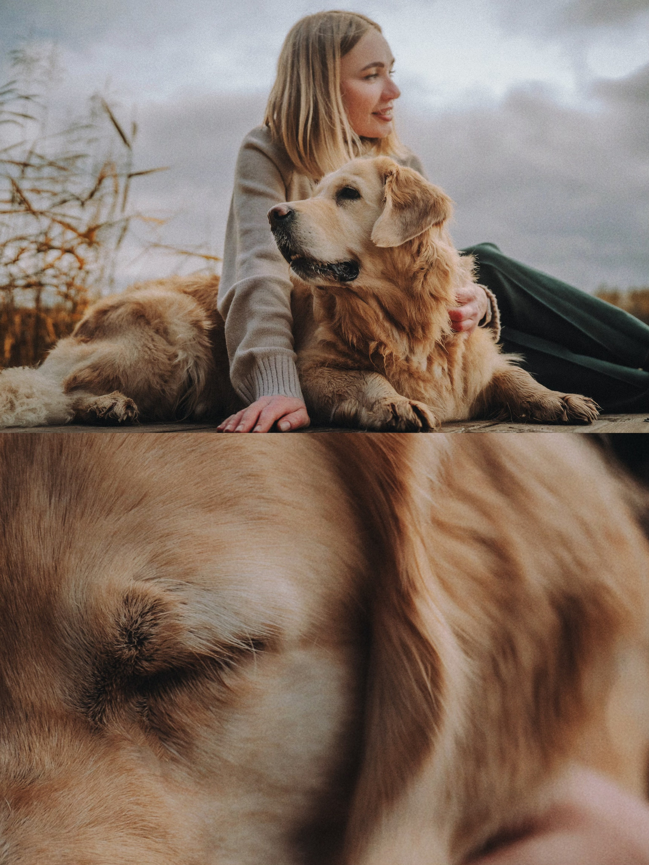 Анастасия и Айза. Фотограф анималист в Москве и Санкт-Петербурге Свиридова Анна