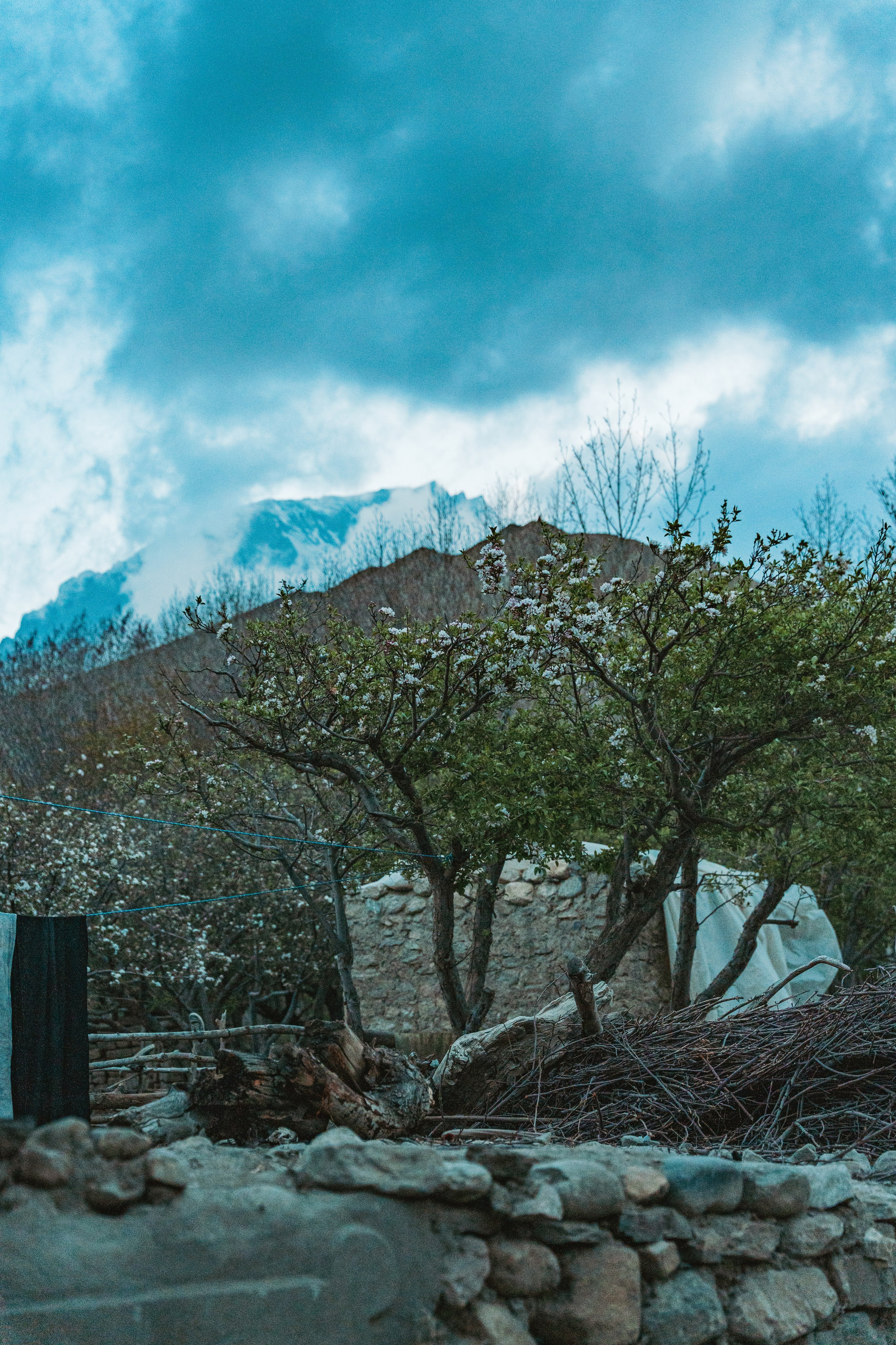 Королевство Мустанг. Dmitry Ippolitov