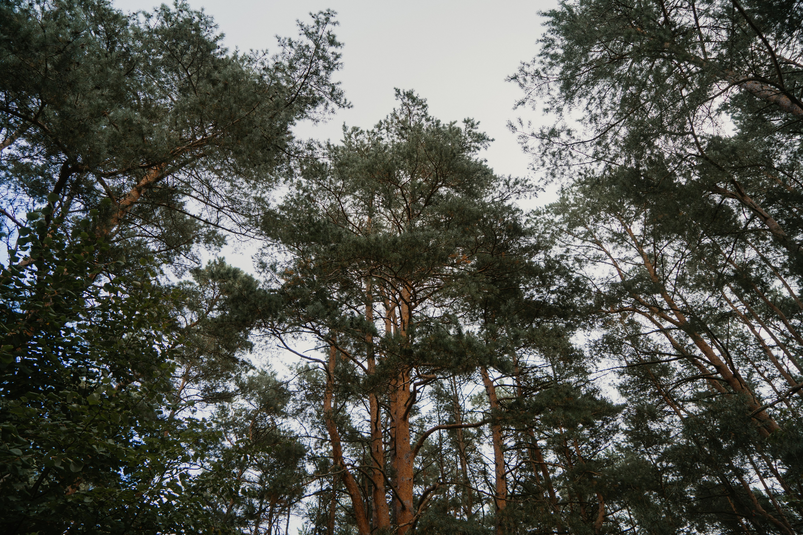 Балтийск/Калининград. Свадебный и семейный фотограф/видеограф в Краснодаре Наталья Осинская