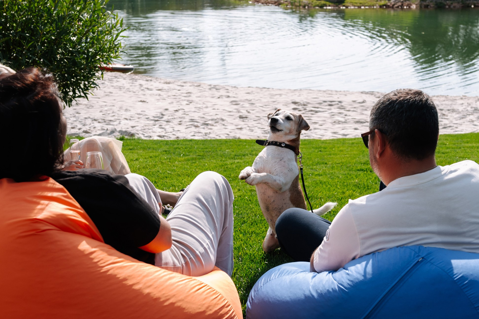 Spaghettata!. KORSHIKOV SERGEY