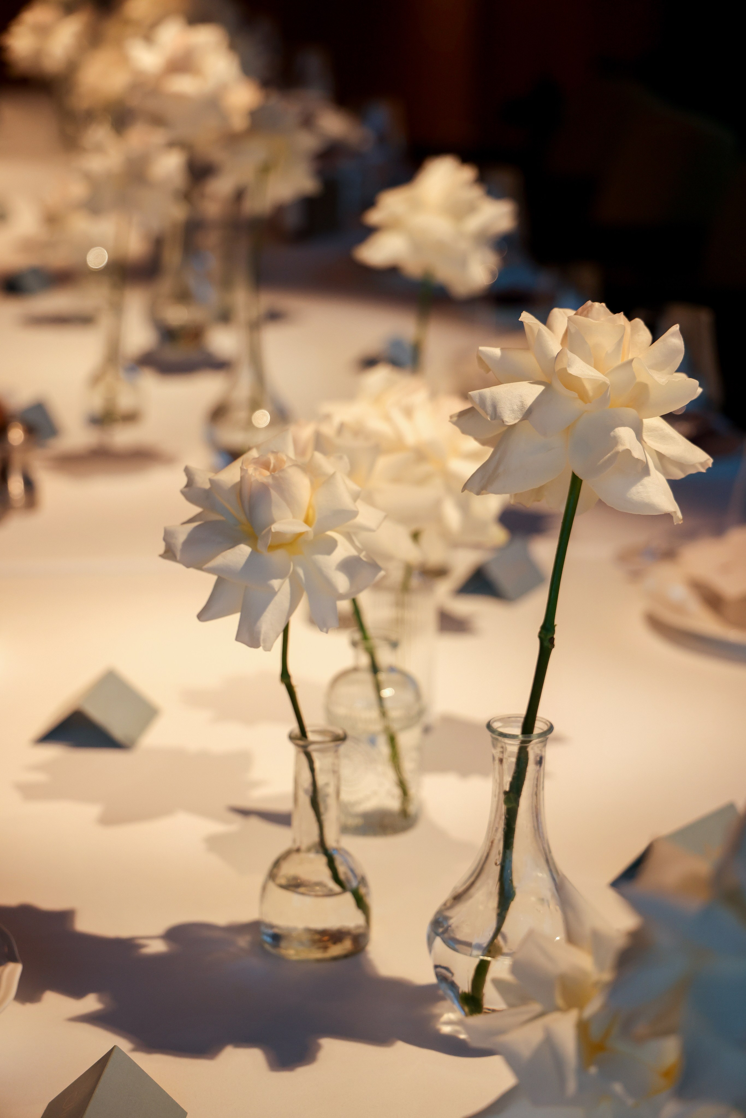 Мария ДР 19. Фотограф Антон Чупринин