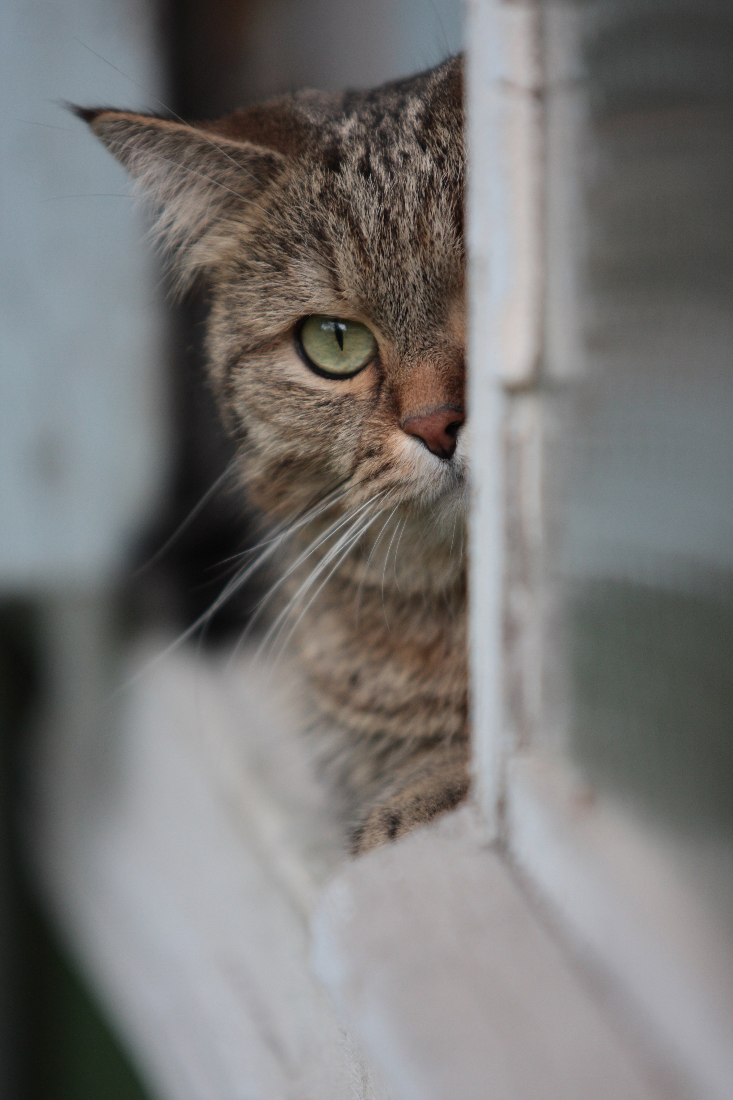 Жанровый портрет. Фотограф Лагутин Анатолий