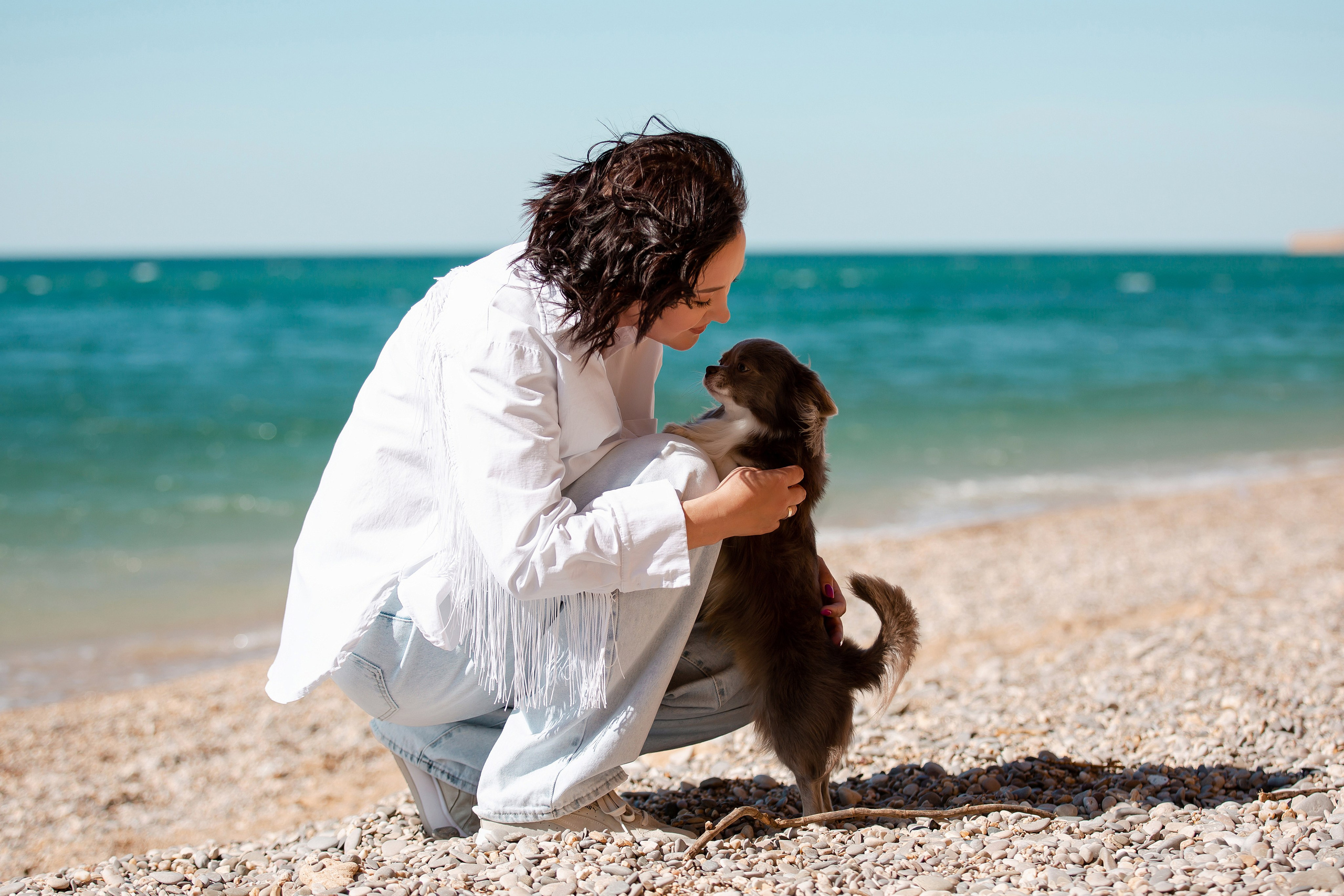 Веймаранер и чихуахуа в Крыму. Фотограф-анималист в Краснодаре Маша Мельникова