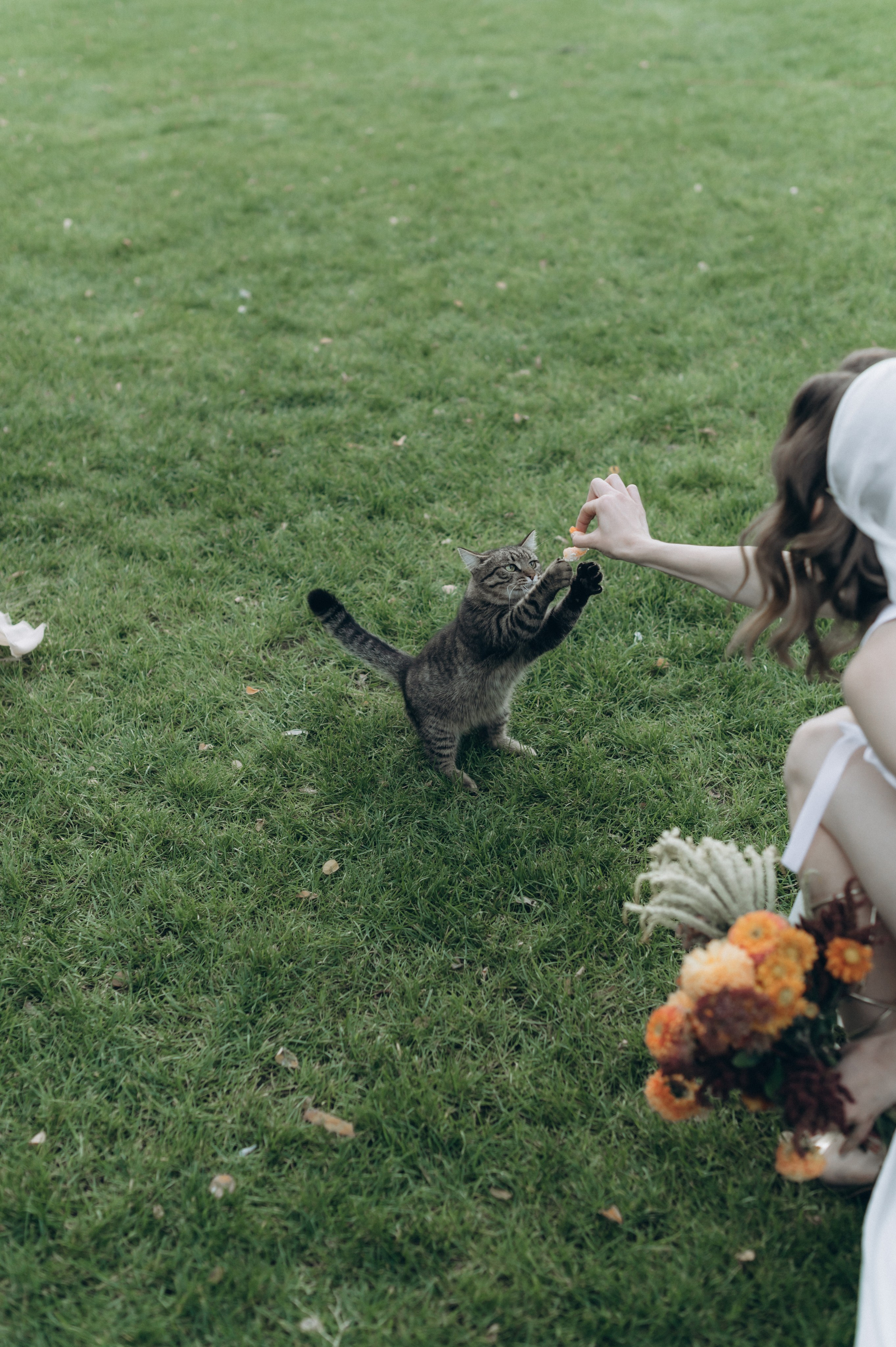 То, какой может быть ваша свадьба. Ирина Гонтарева|Фотограф|Белгород