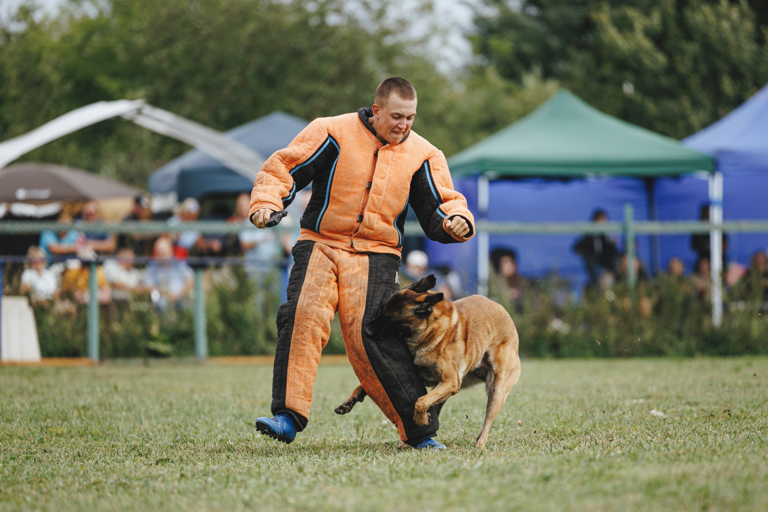 08.08.25-10.08.25 ЧР по мондьорингу г. Вологда. Фотограф-анималист Анна Маринич