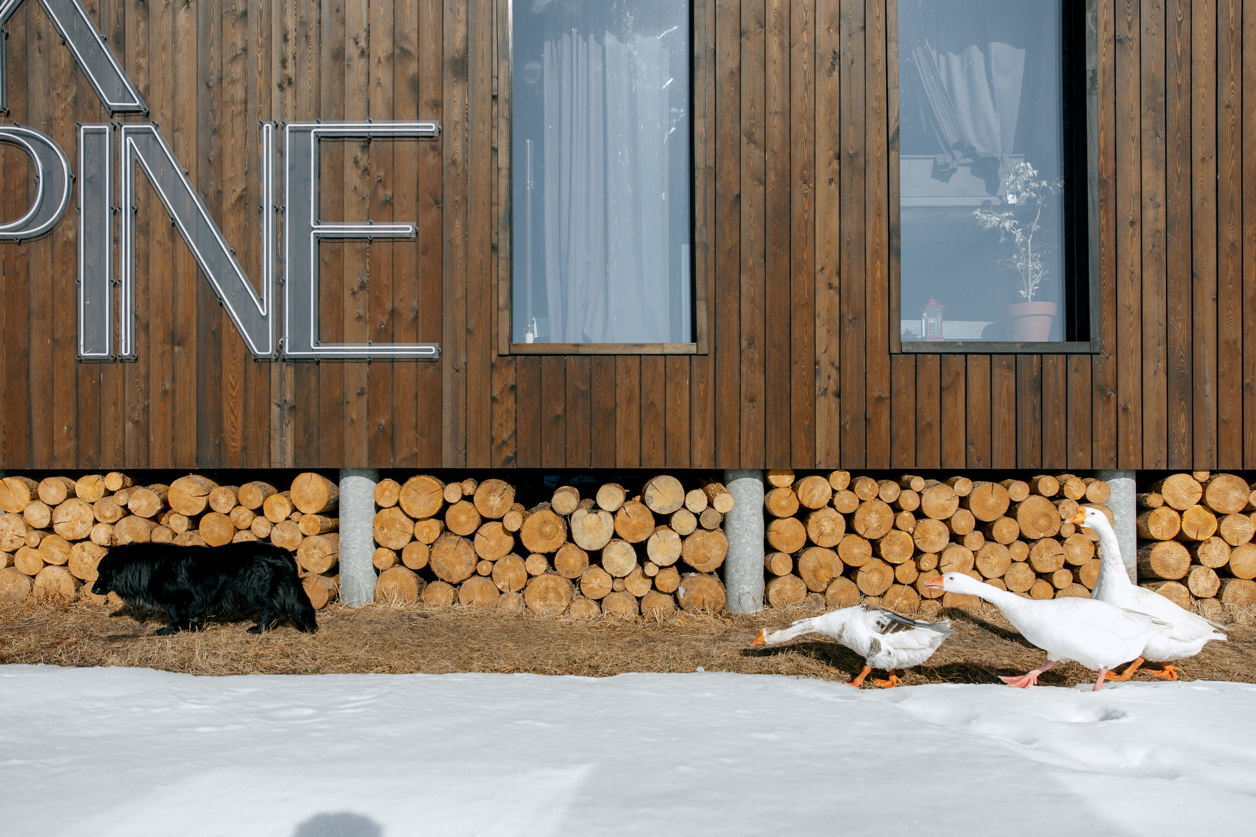 ДЕНЬ ДОЖДЕНИЯ ЕКАТЕРИНЫ. Фотограф в Красноярске