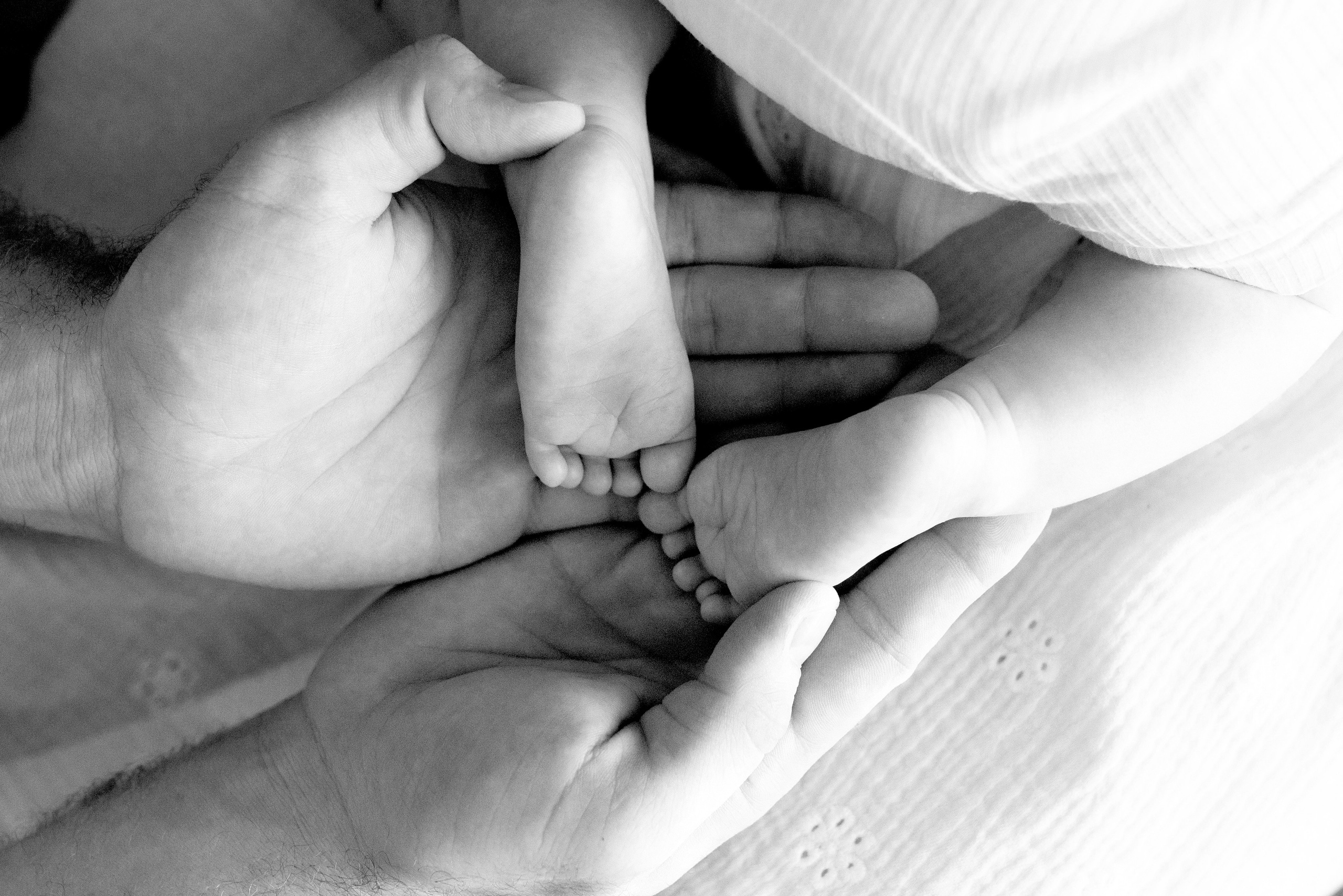 4 месяца (life)