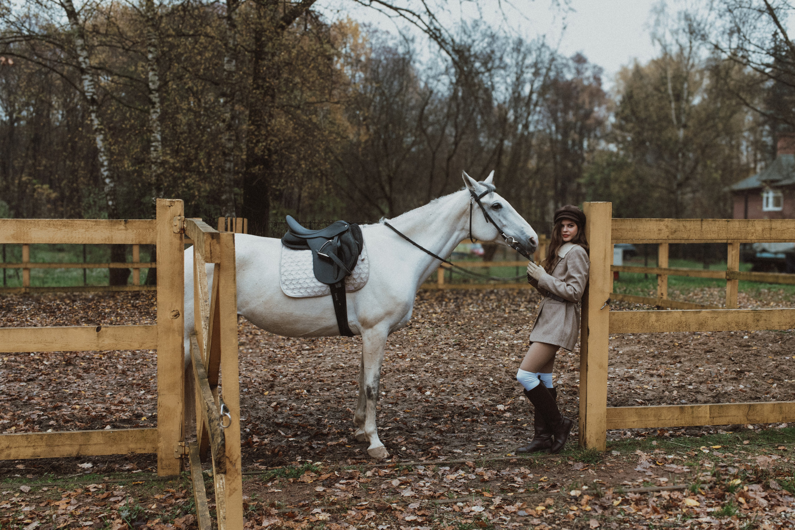 «Осенний ветер и грациозный скакун». Фотограф в Москве/Зарайске Шахова Марина