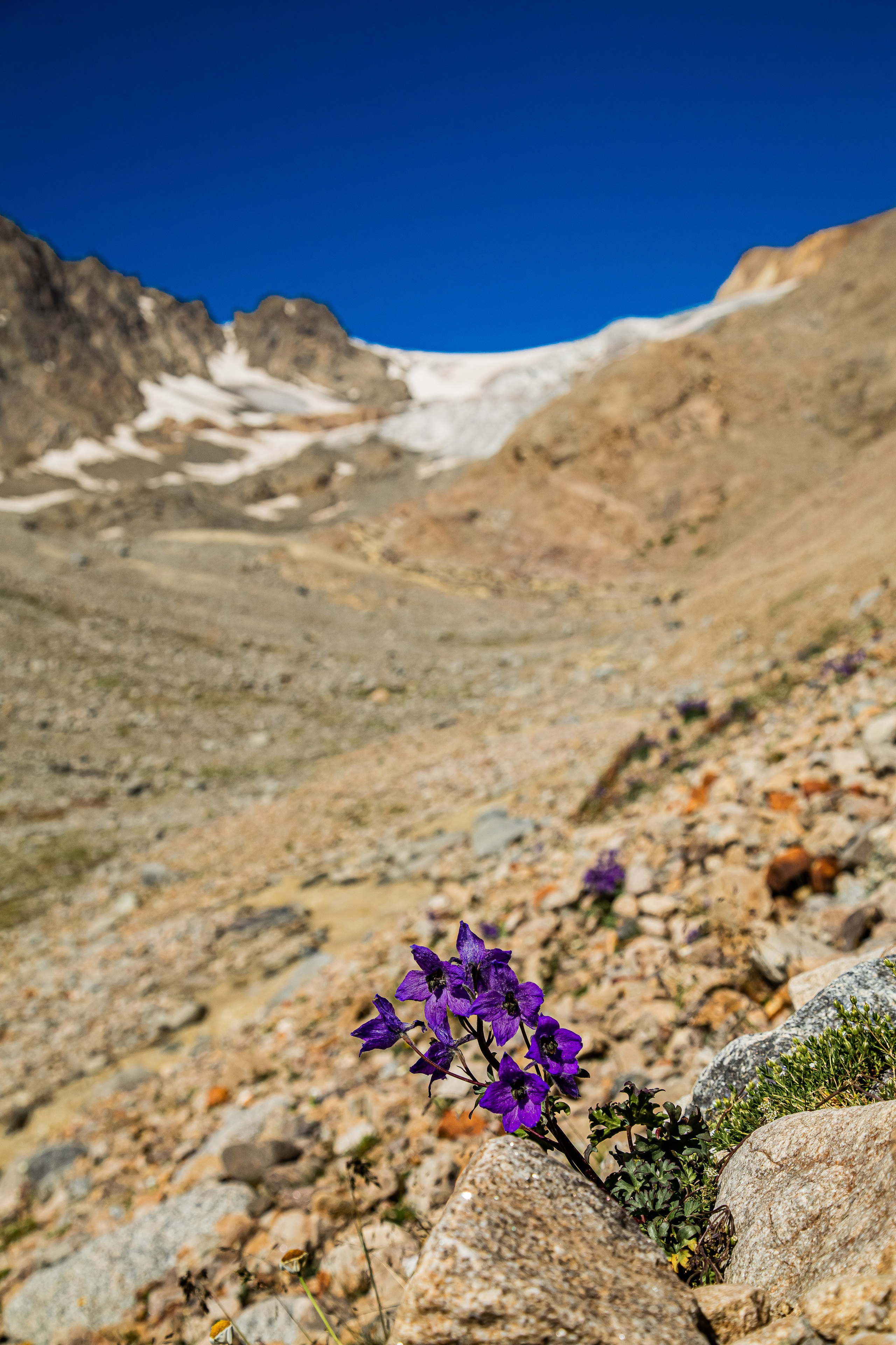 КАВКАЗ. Авторские туры с профессиональным фотографом