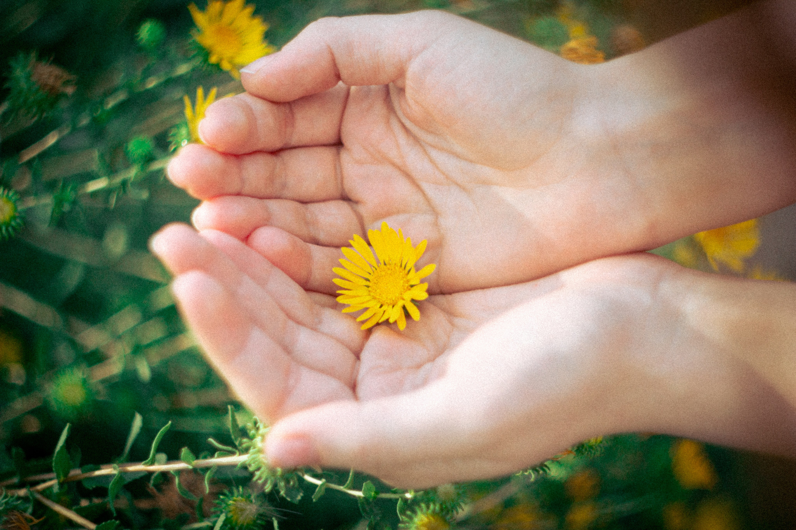 Платье в горошек. • Фотограф Александра Светозар Алчевск •