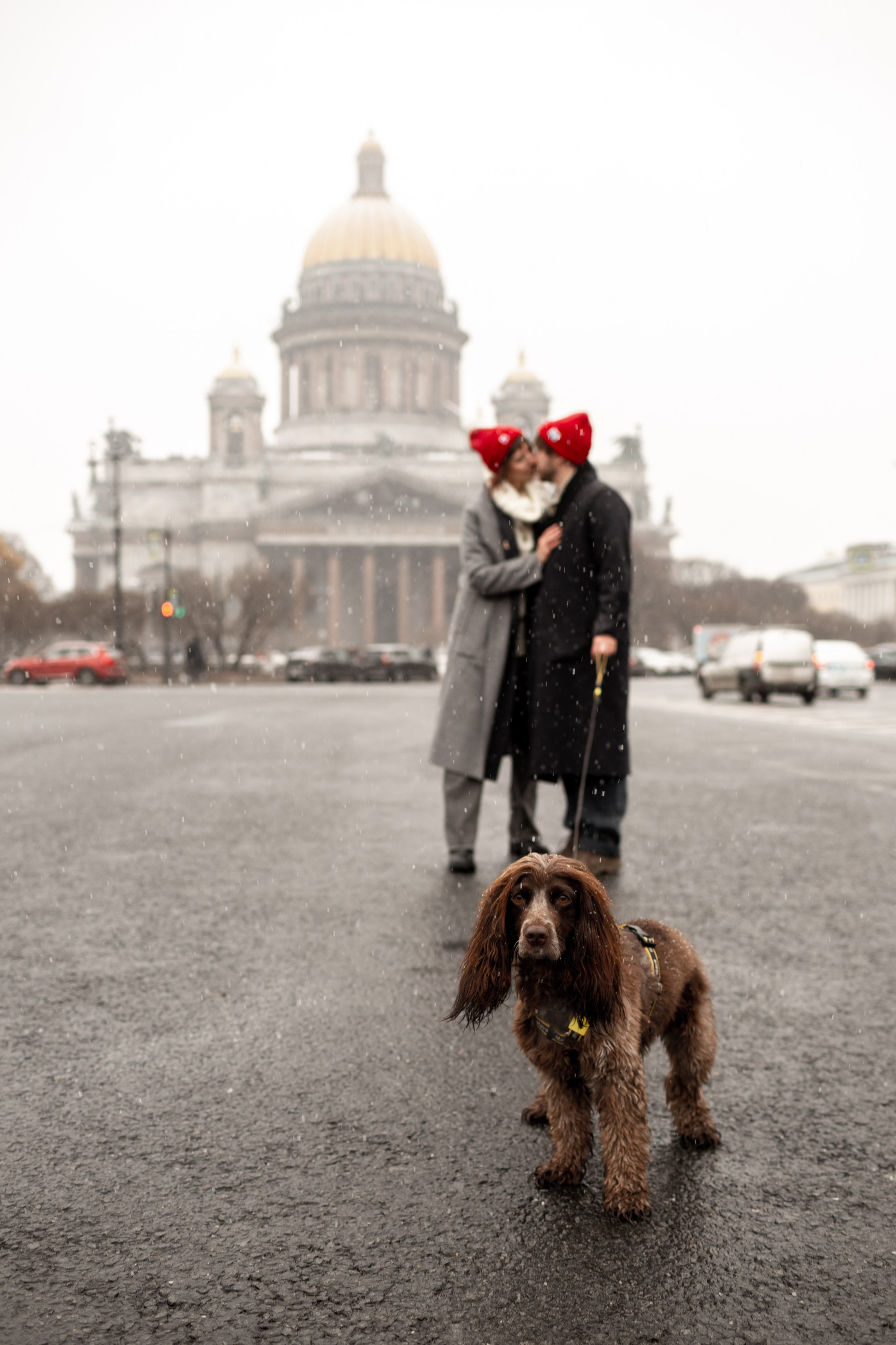 Собака на фотопрогулке с хозяевами позирует в кадре.