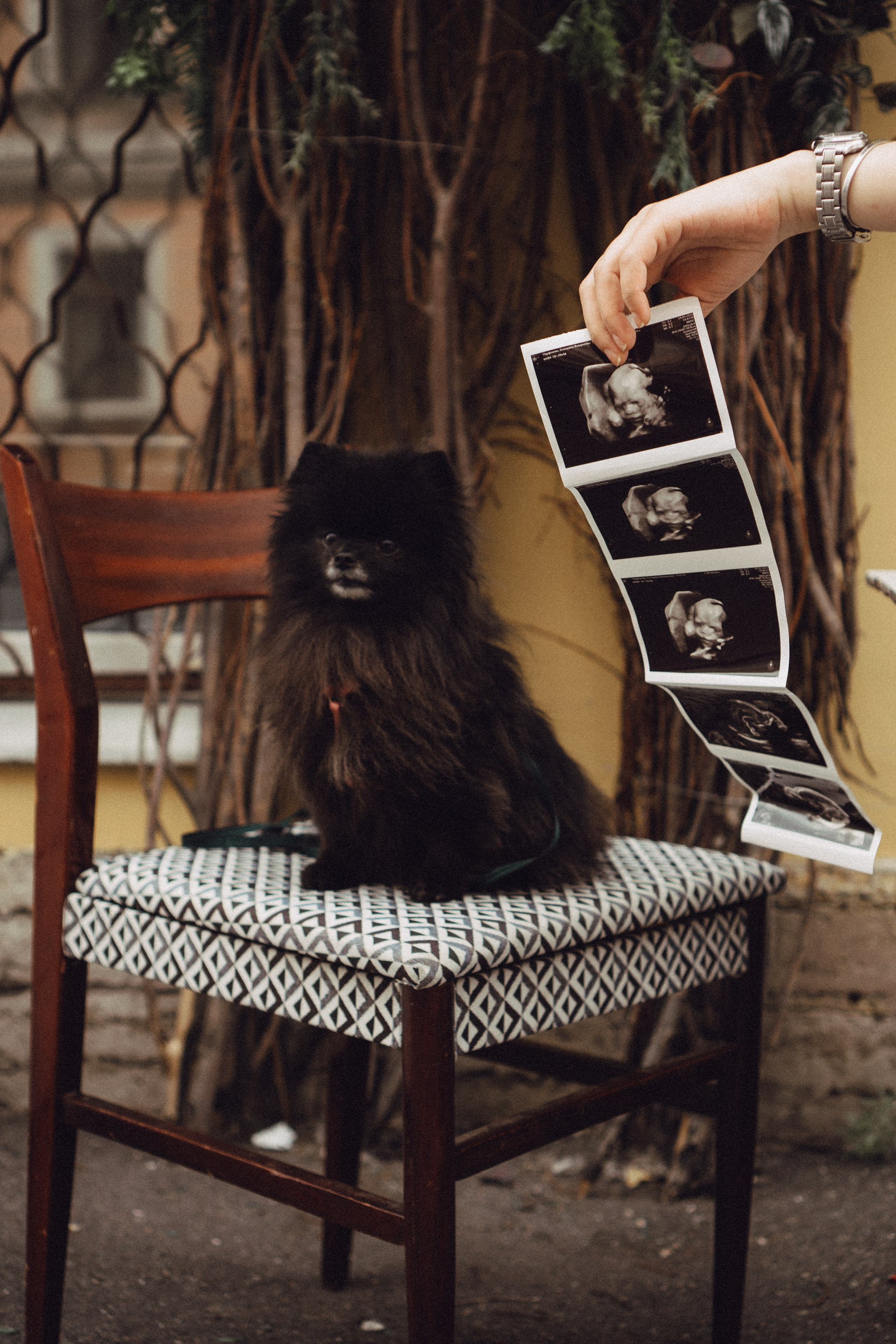 Беременность (только часть фото по желанию клиентов могу показать)). Профессиональный фотограф, Санкт-Петербург — Виктория Богомолова