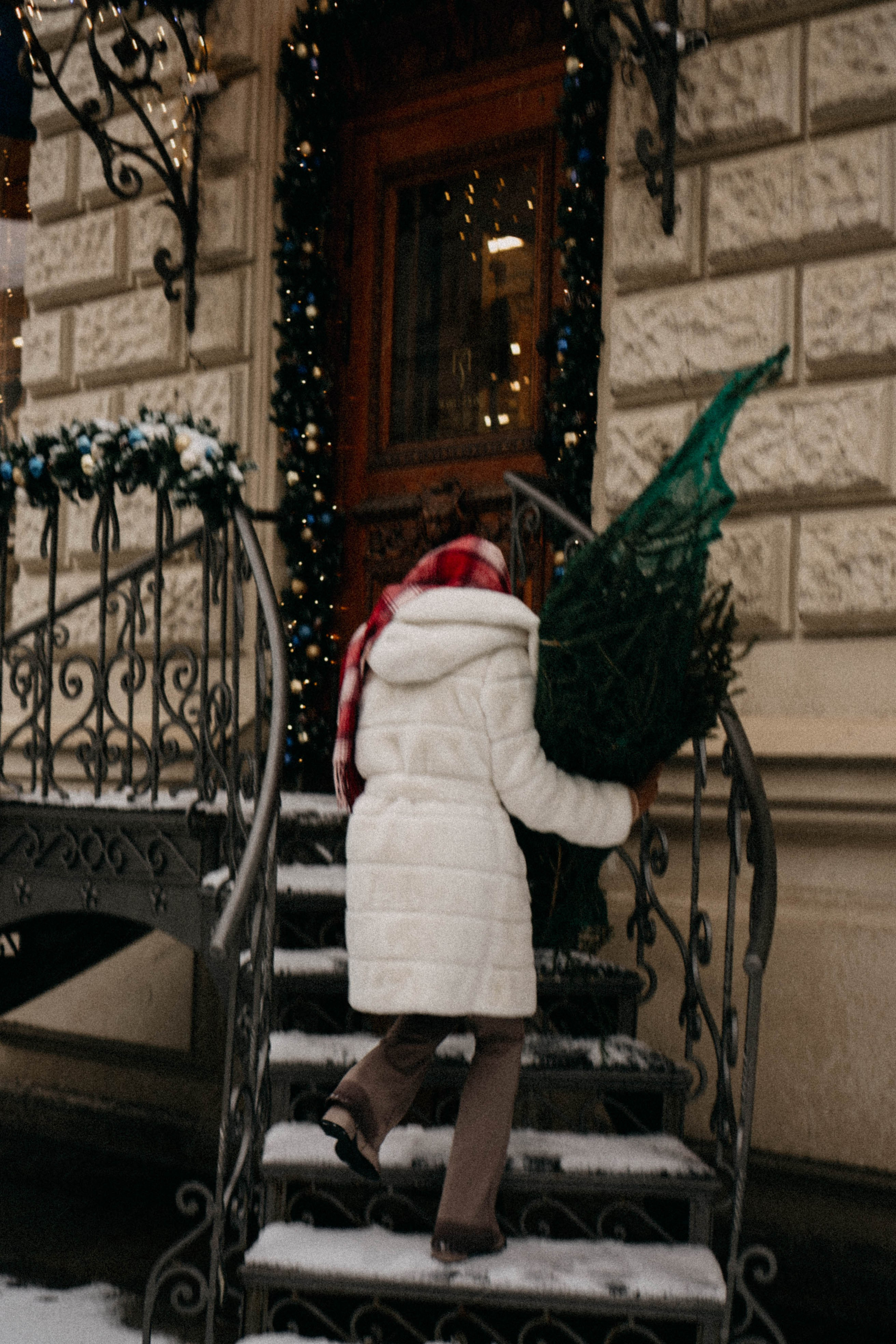 Новогодняя. Профессиональный фотограф, Санкт-Петербург — Виктория Богомолова