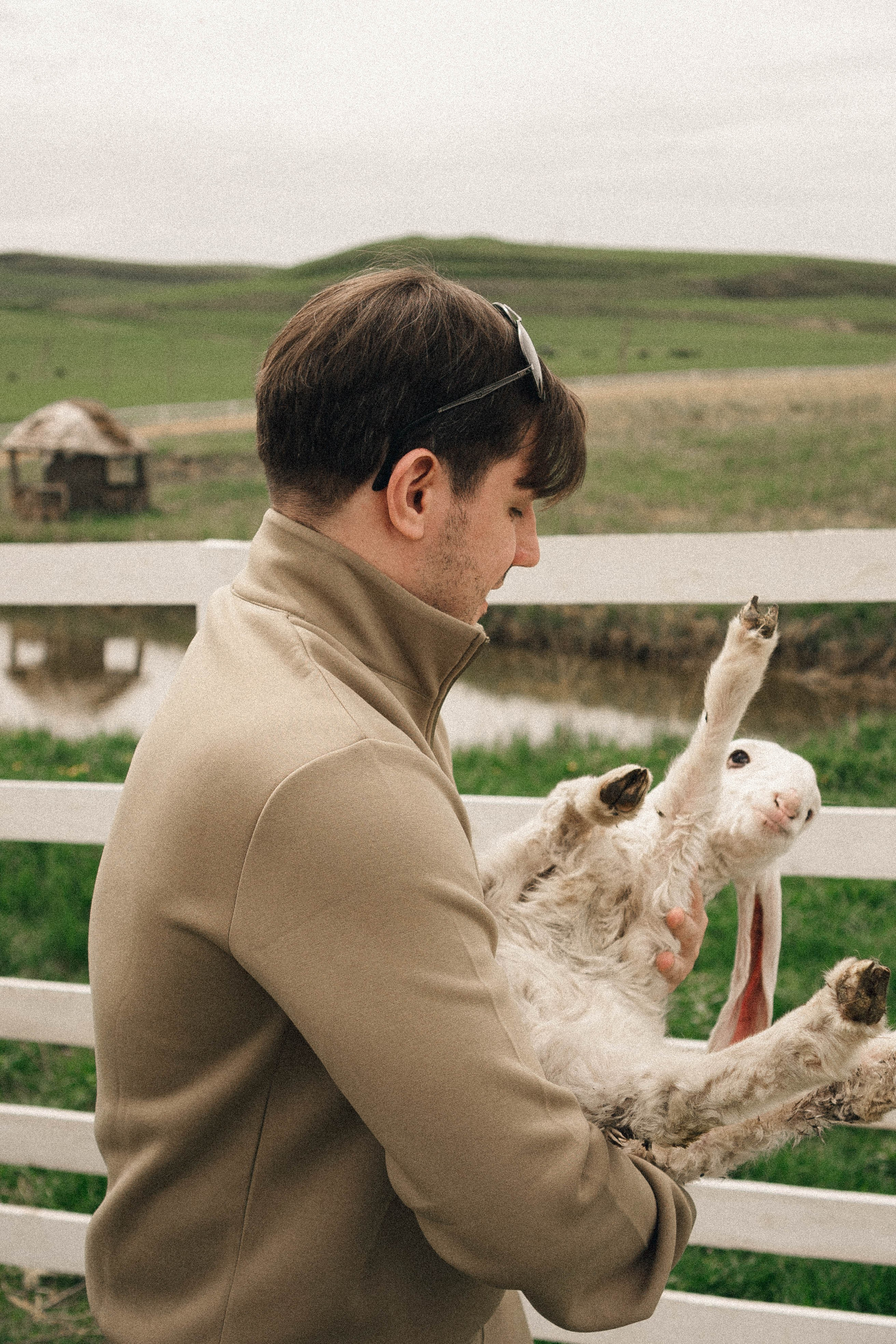 Ферма Альпак. Профессиональный фотограф, Санкт-Петербург — Виктория Богомолова