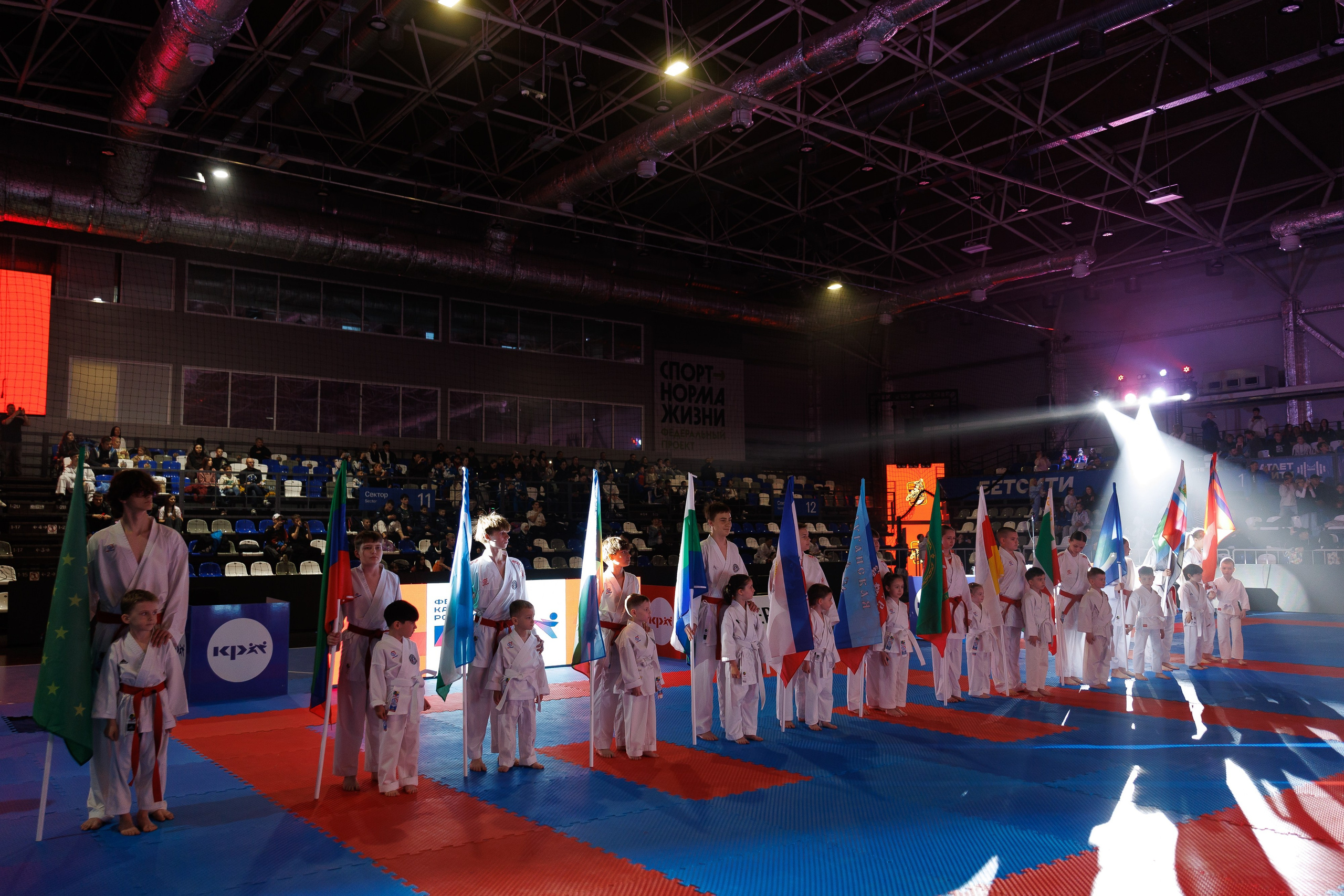 Кубок Пересвета 2026. Репортажный фотограф Ростов-на-дону