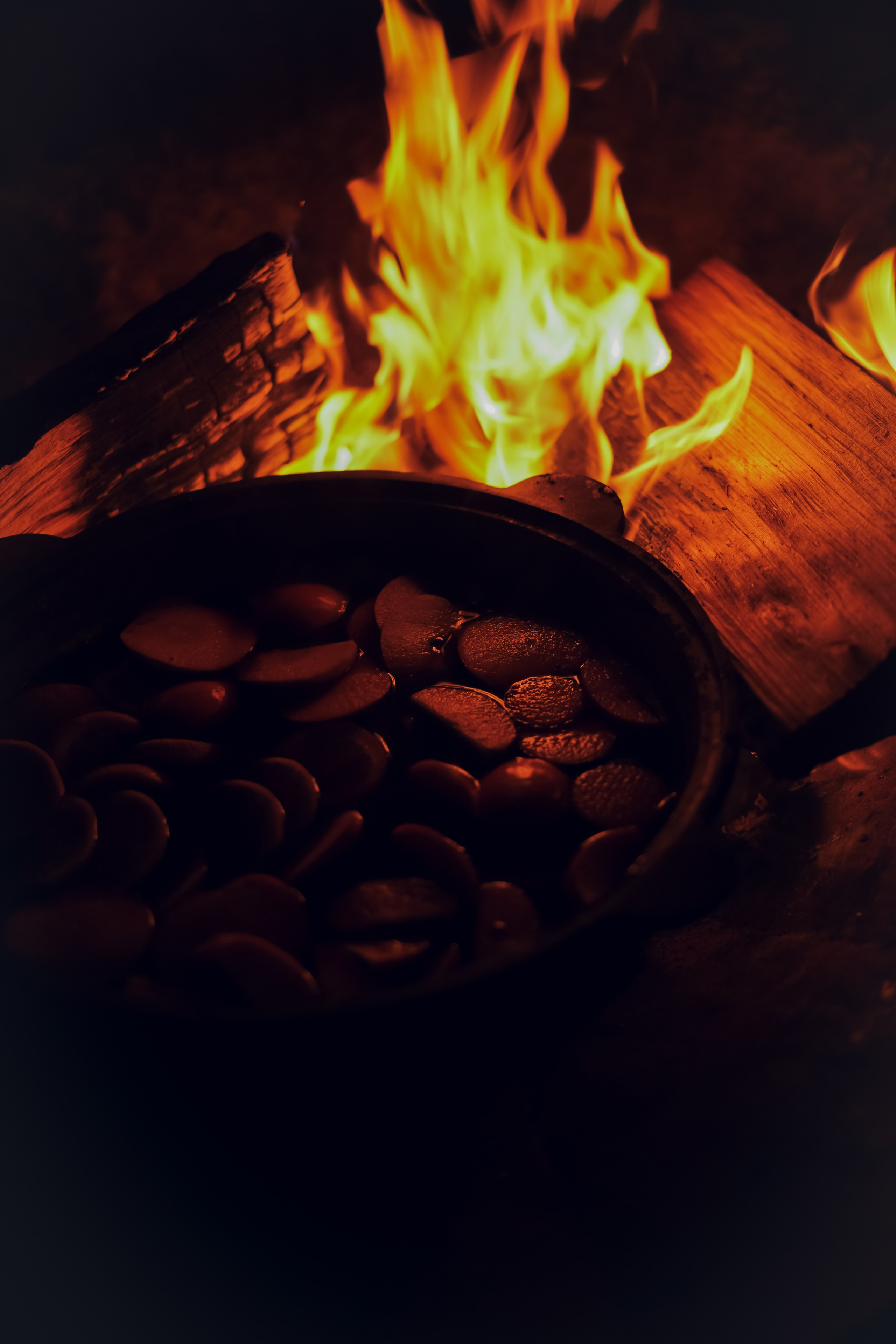 Палаточный форум CAMPot 2025. Фотограф Надежда Погребняк | Рязань | Москва