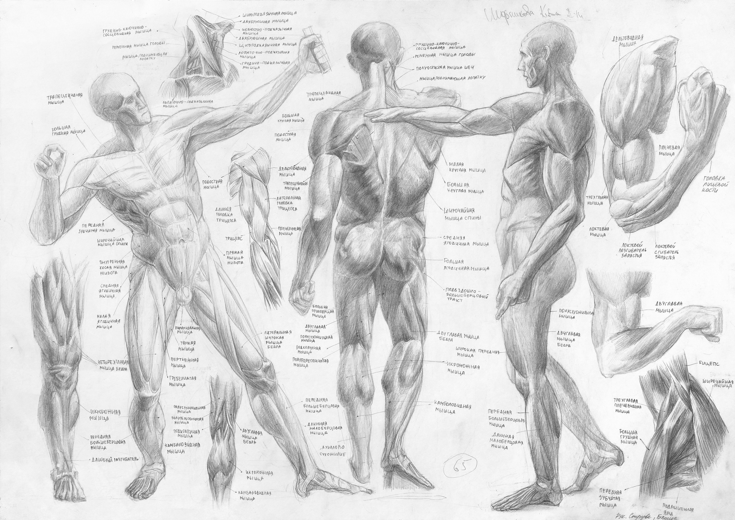 Работы студентов. Главная