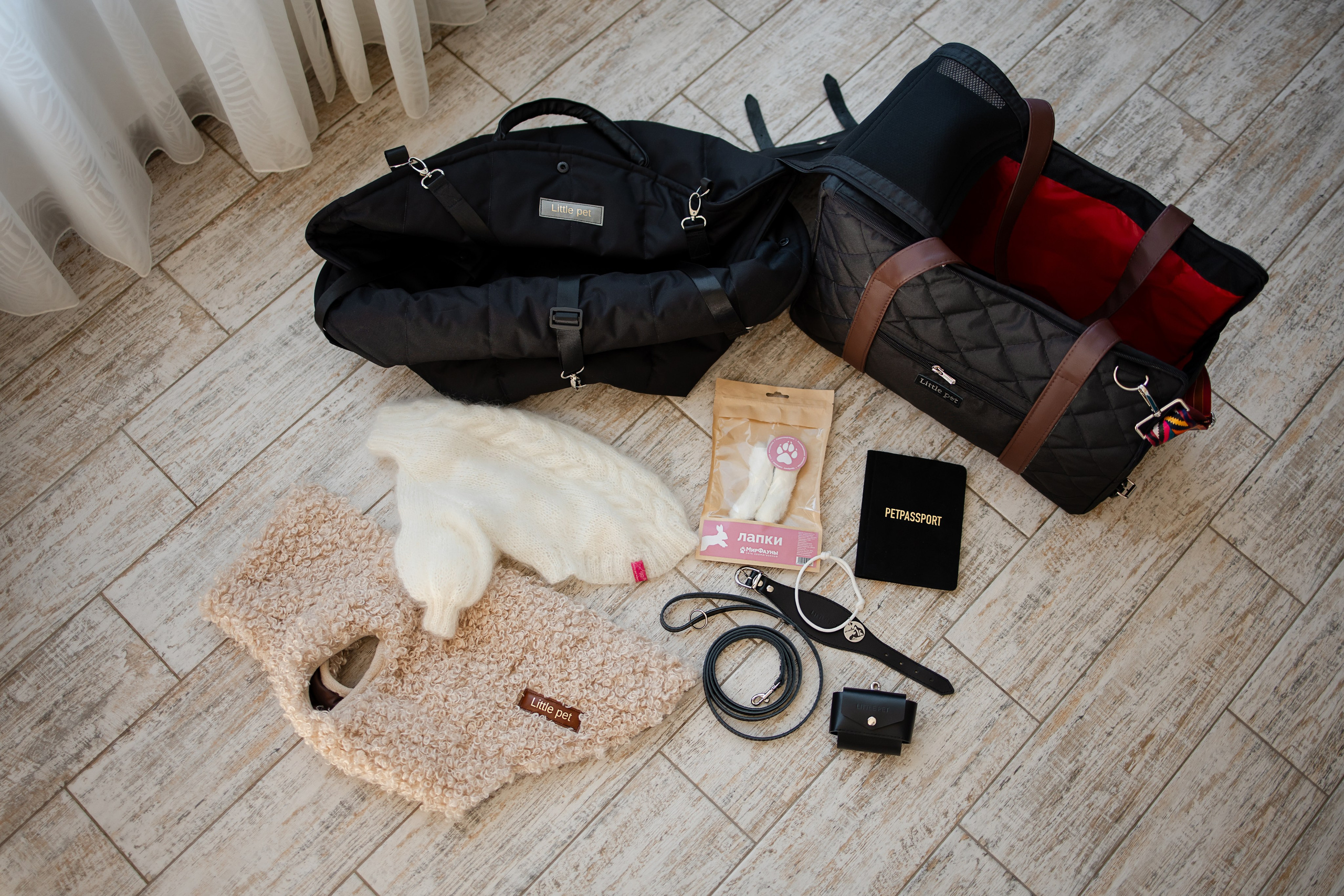 Профессиональный питомник левреток РКФ/FCI ASTI SAPPHIRE 💎 Сочи|Санкт-Петербург