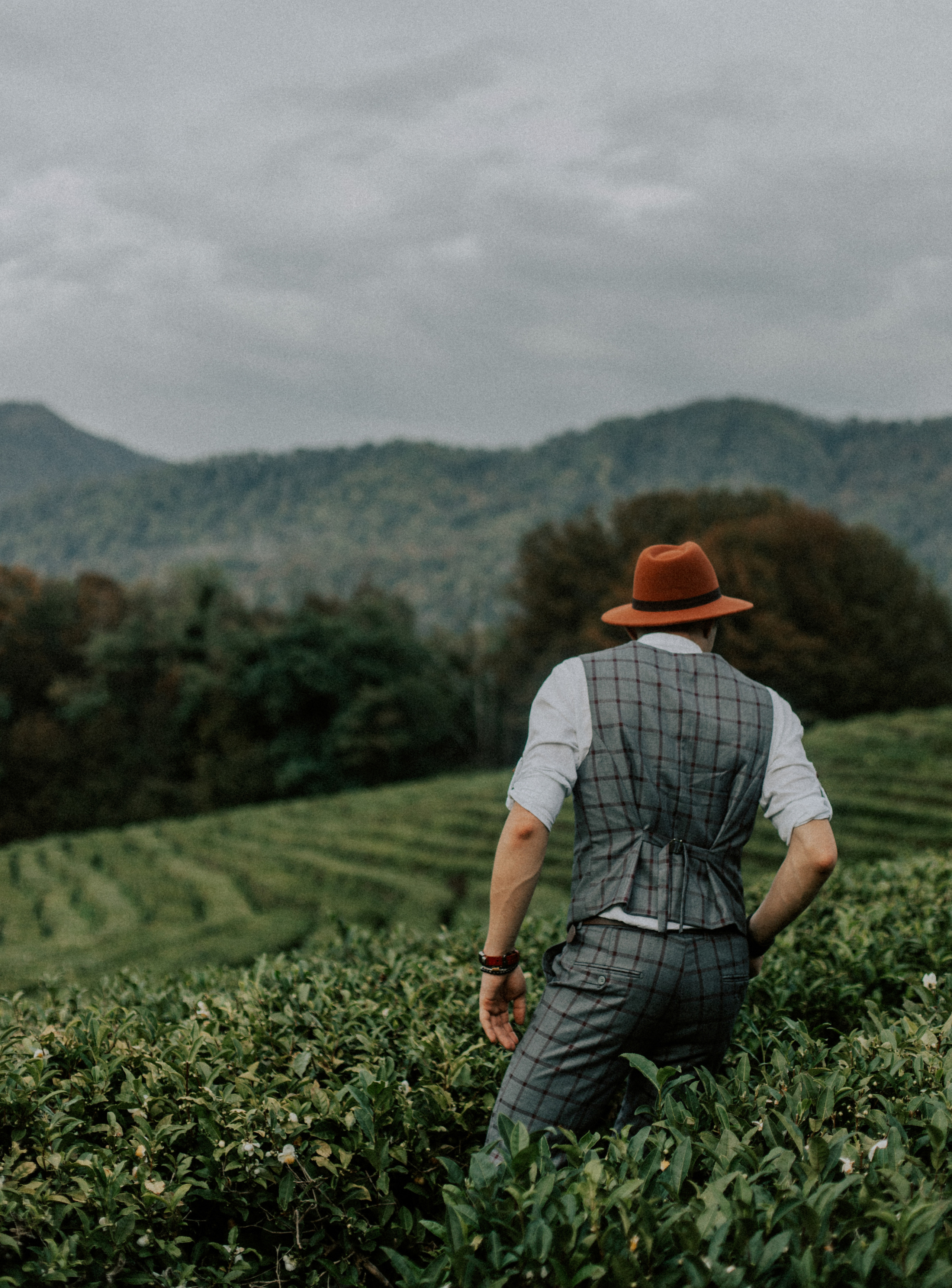Дима и Аня. Чайная плантация. ФОТОГРАФ Екатеринбург Москва Анастасия Замесина