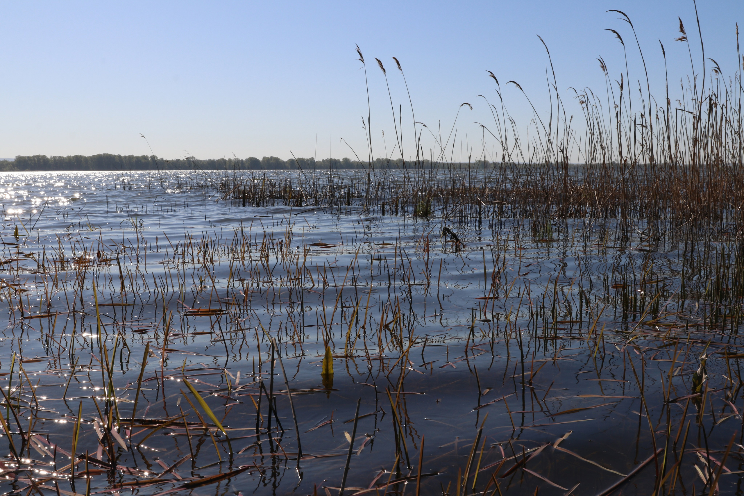 Велопоход Уфа — Мелеуз. Май 2024. Путешественник-фотограф из Санкт-Петербурга Татьяна Свистулина