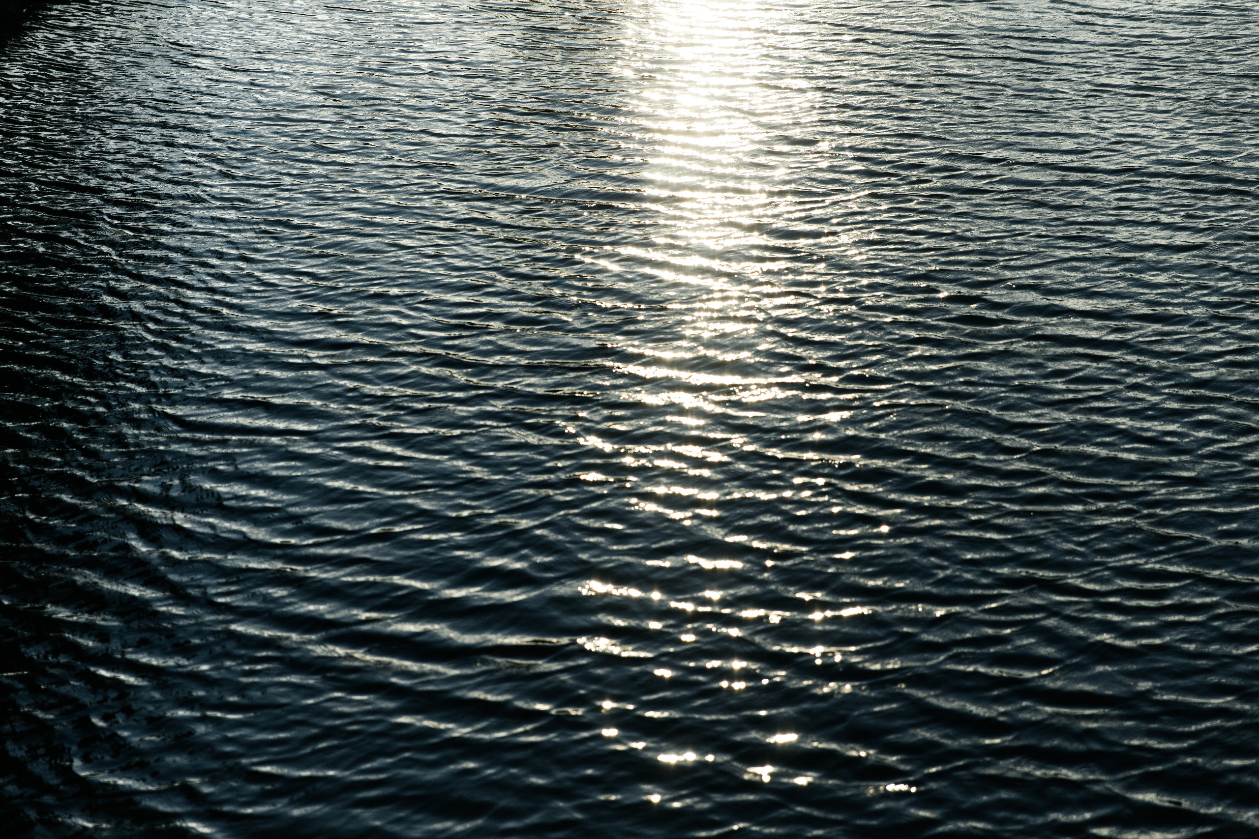 Не подвязка. Портфолио свадебного фотографа. Роман Каргаполов