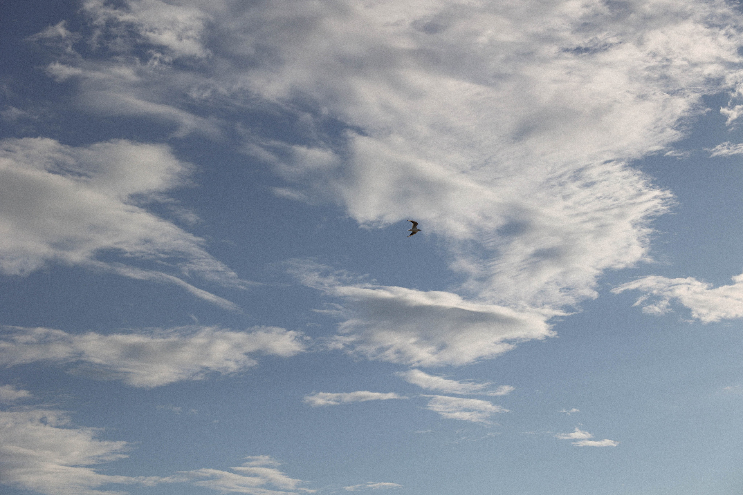 LOVE STORY. Свадебный, репортажный, фотограф Москва и Московская область