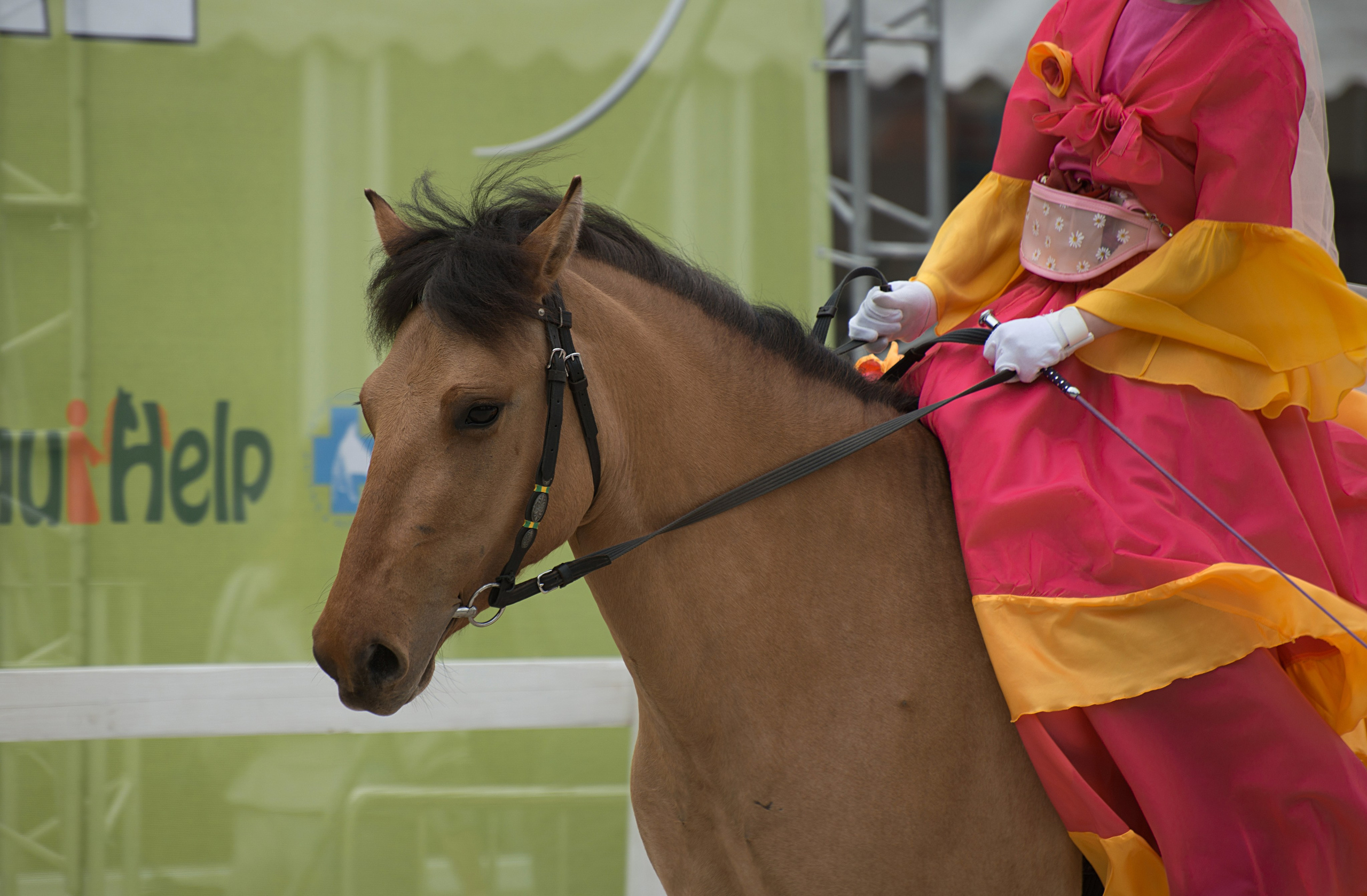 Эквирос. Конный фотограф в Саратове Юлия Иванова