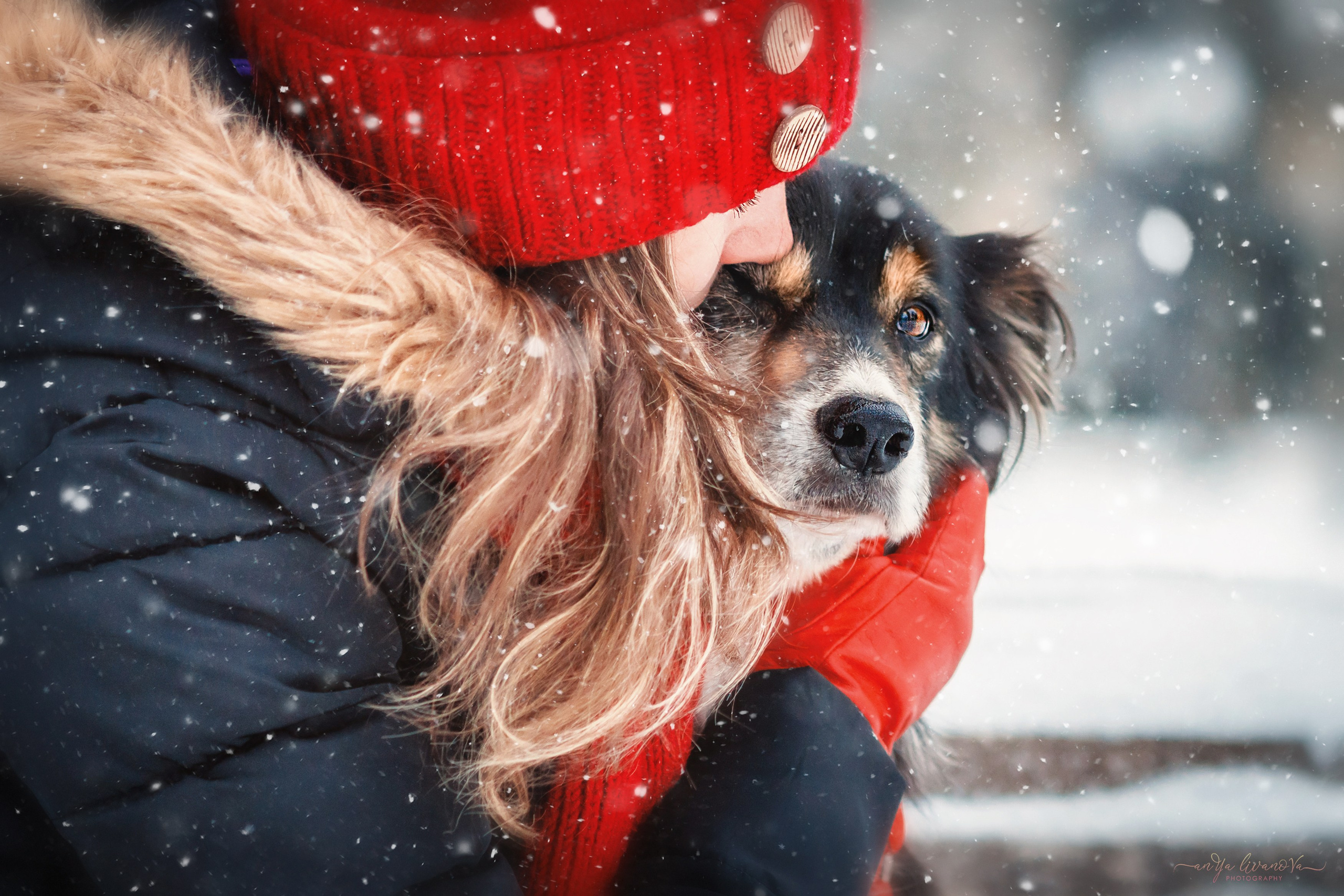 Рокки. Фотограф анималист Аня Ливанова | Рыбинск