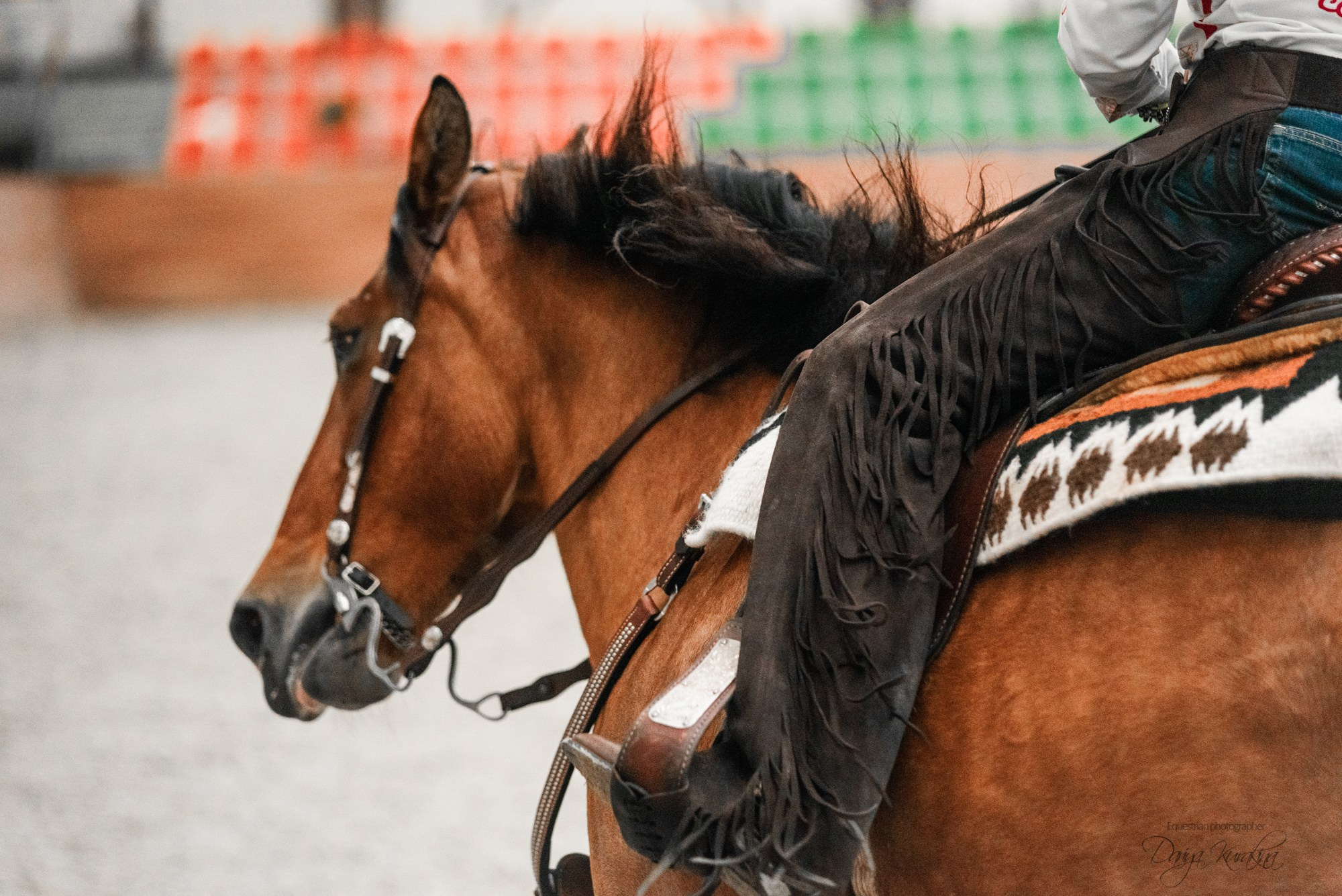 8-я международная выставка Конная Россия. Конный фотограф Куракина Дарья • Фотосессии с лошадьми